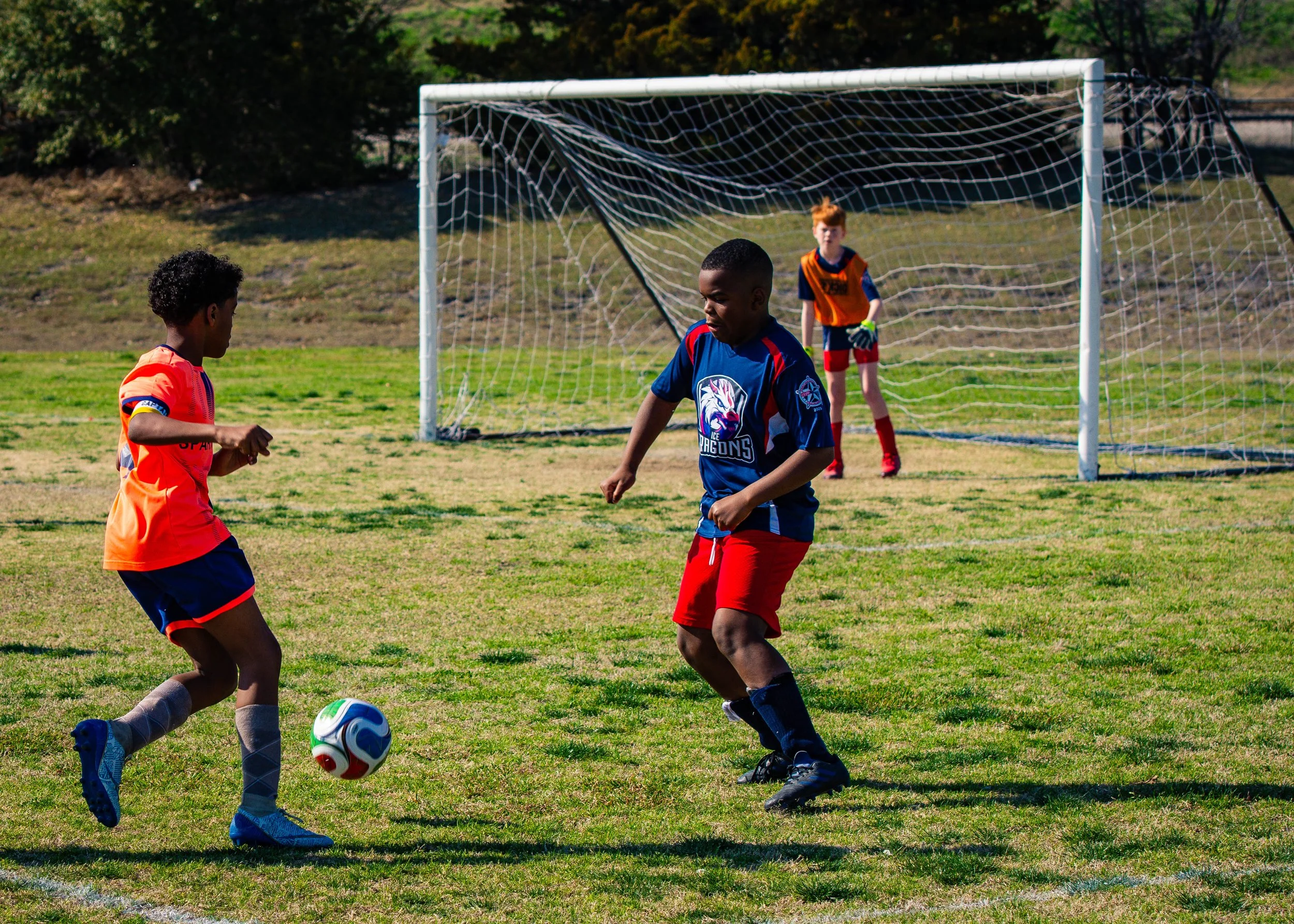 spartans vs ice dragons-3.jpg