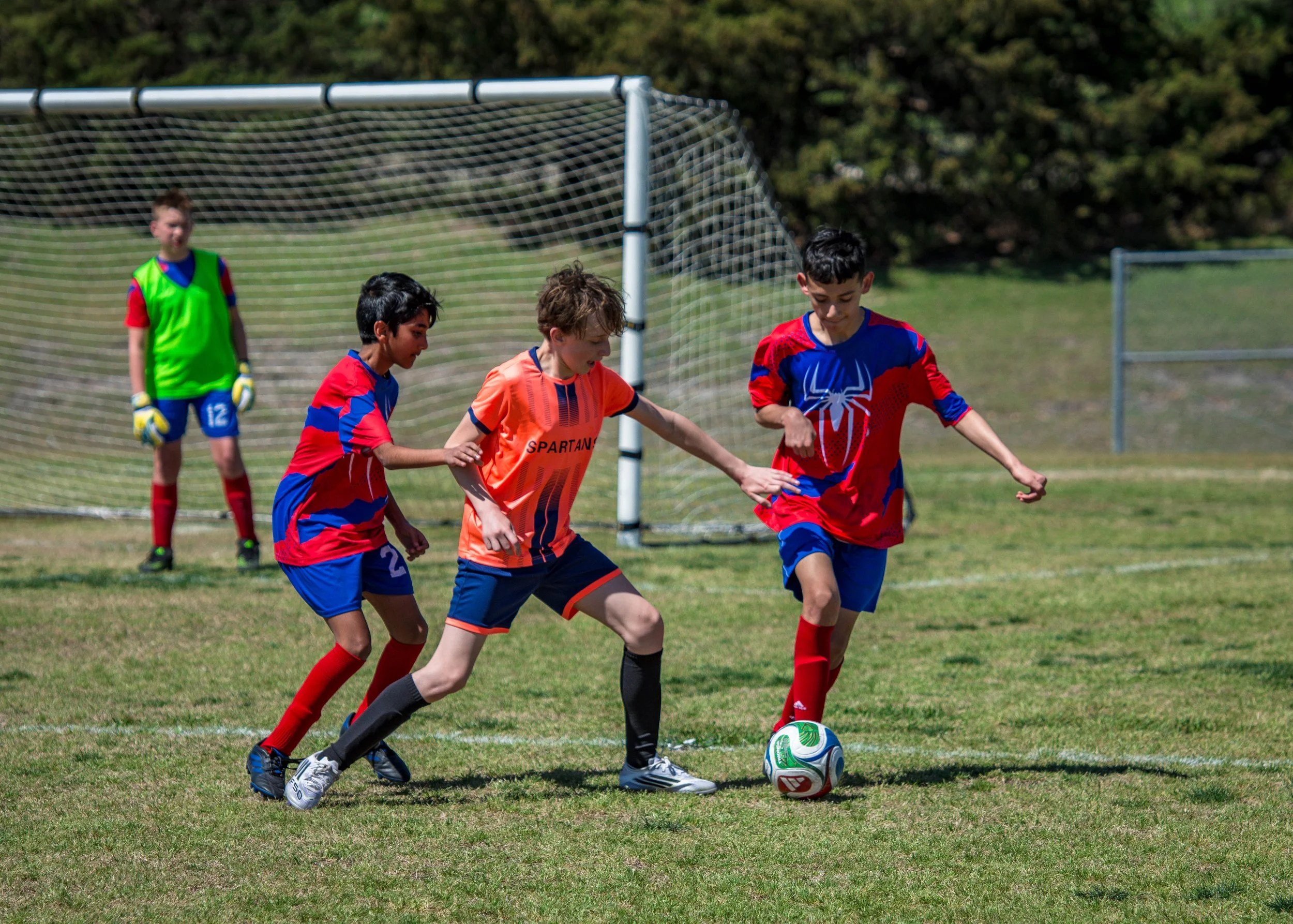 spartans vs spidermen.jpg