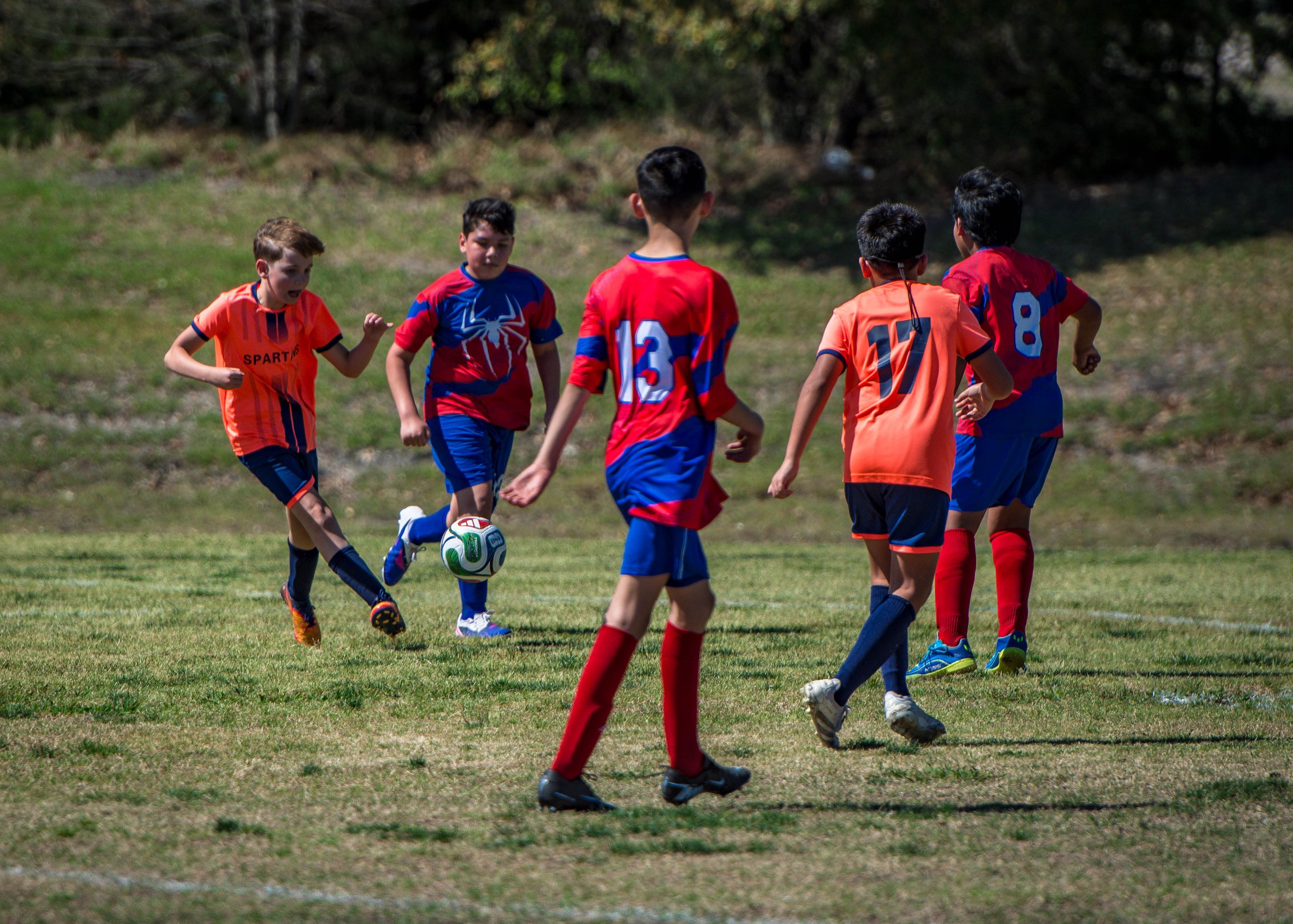 spartans vs spidermen-14.jpg