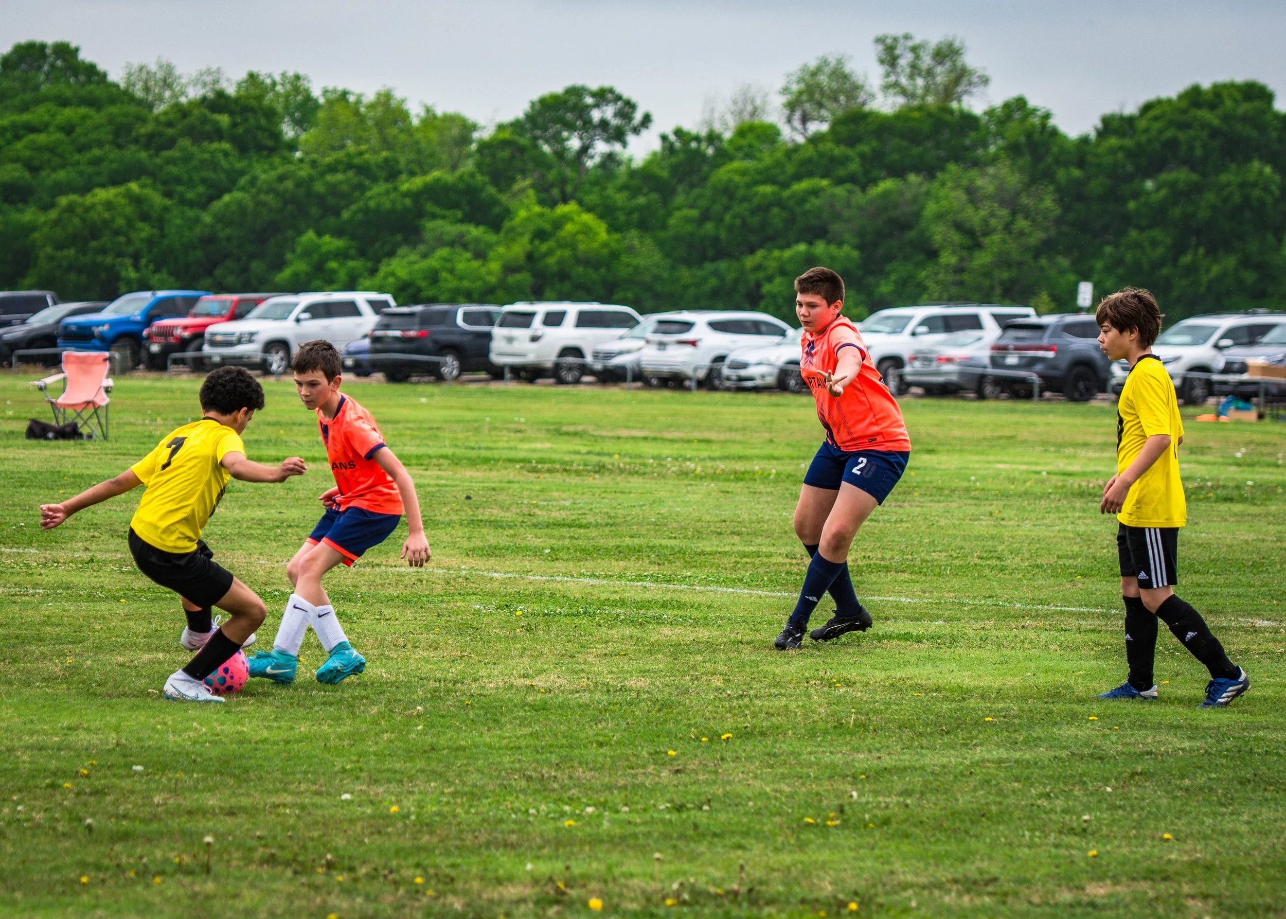 spartans vs hawks-2.jpg