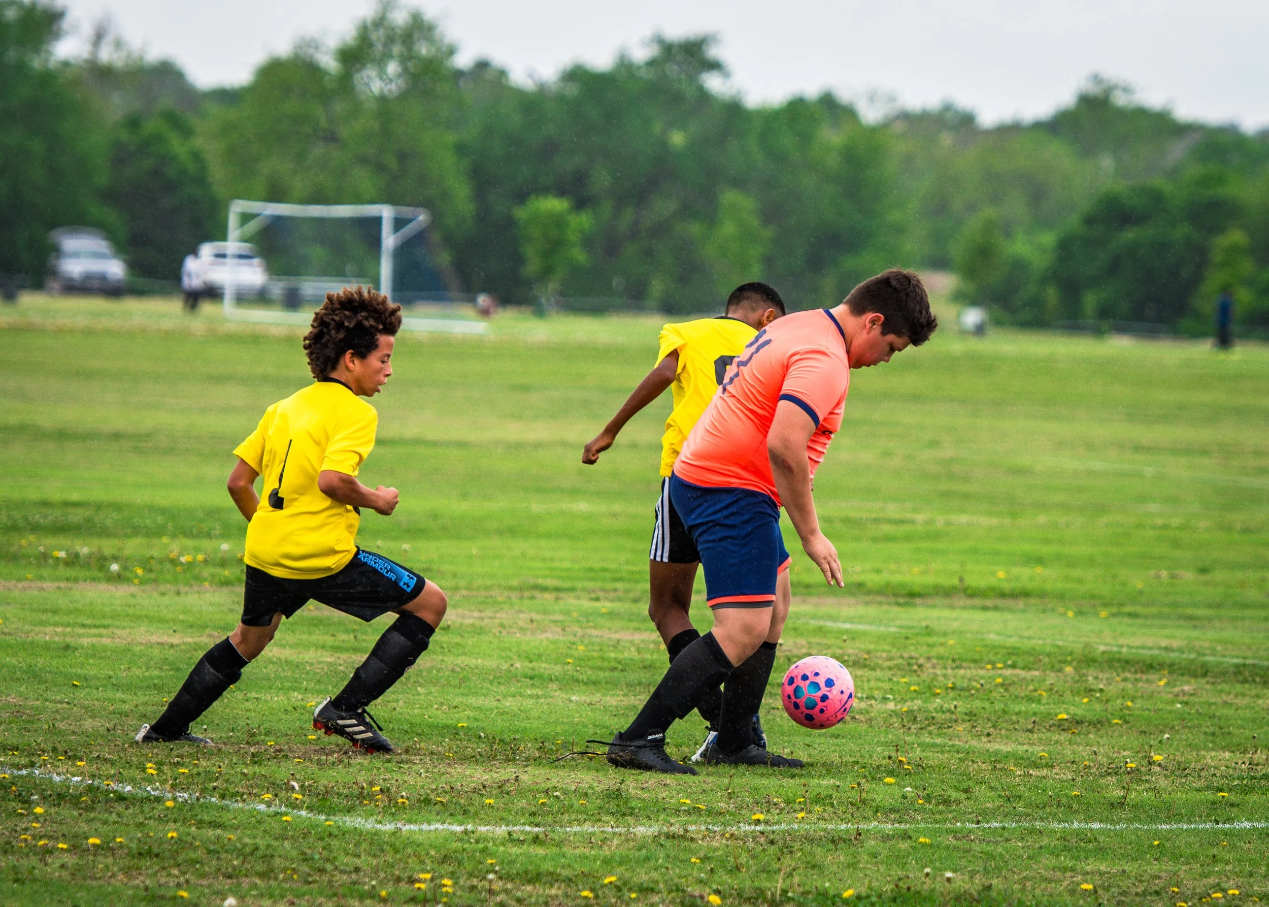 spartans vs hawks-4.jpg