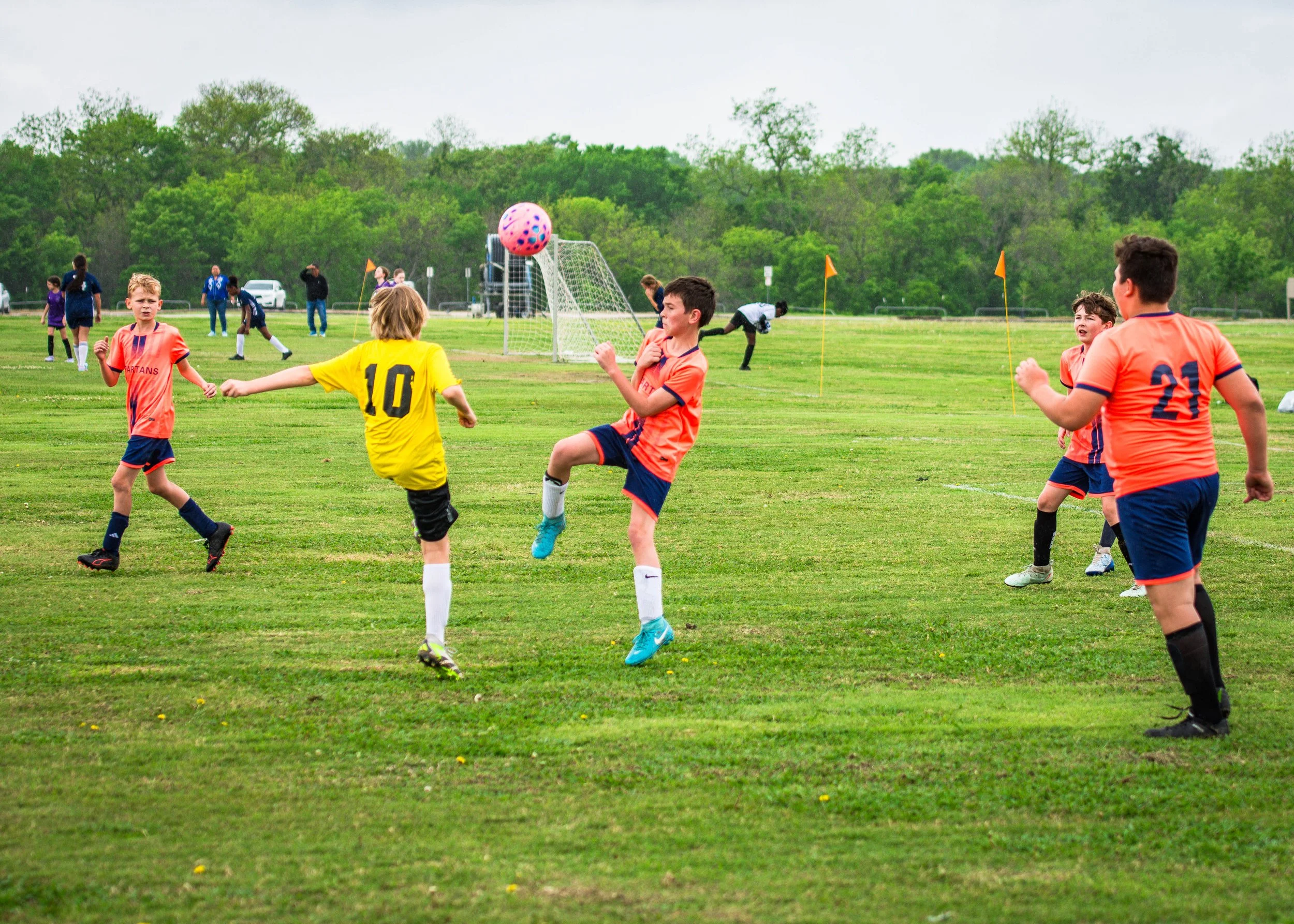 spartans vs hawks-5.jpg