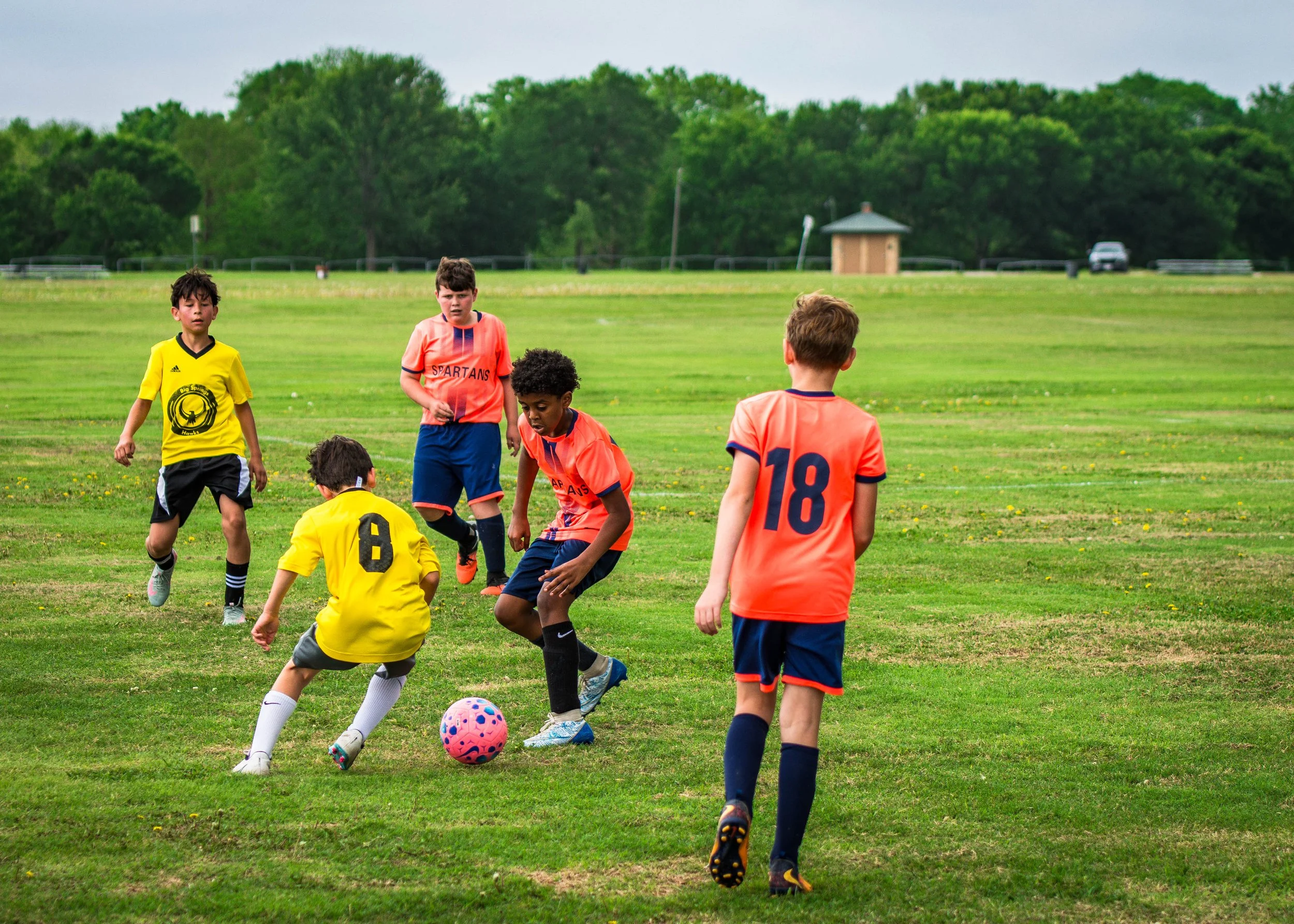 spartans vs hawks-15.jpg