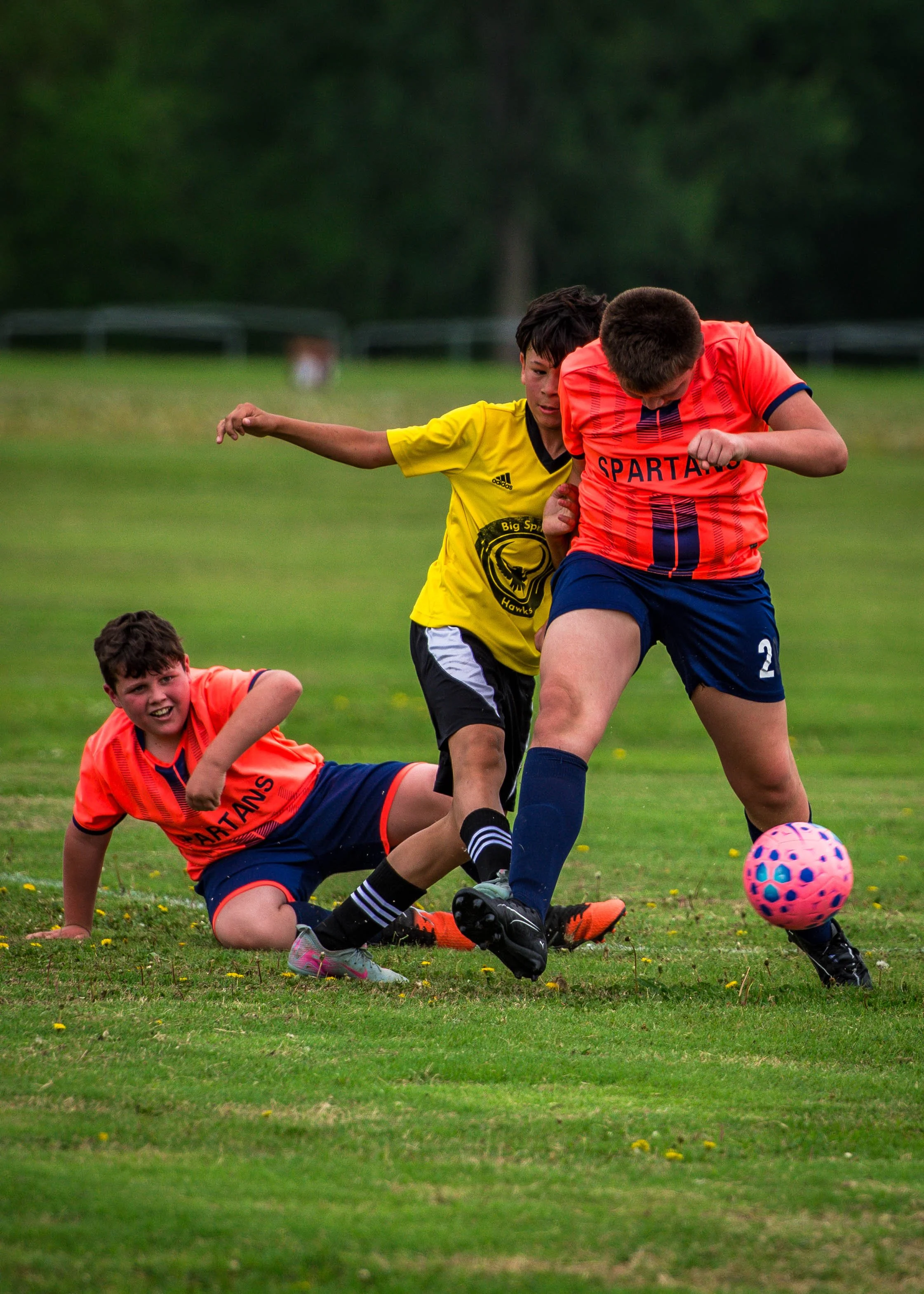 spartans vs hawks-21.jpg