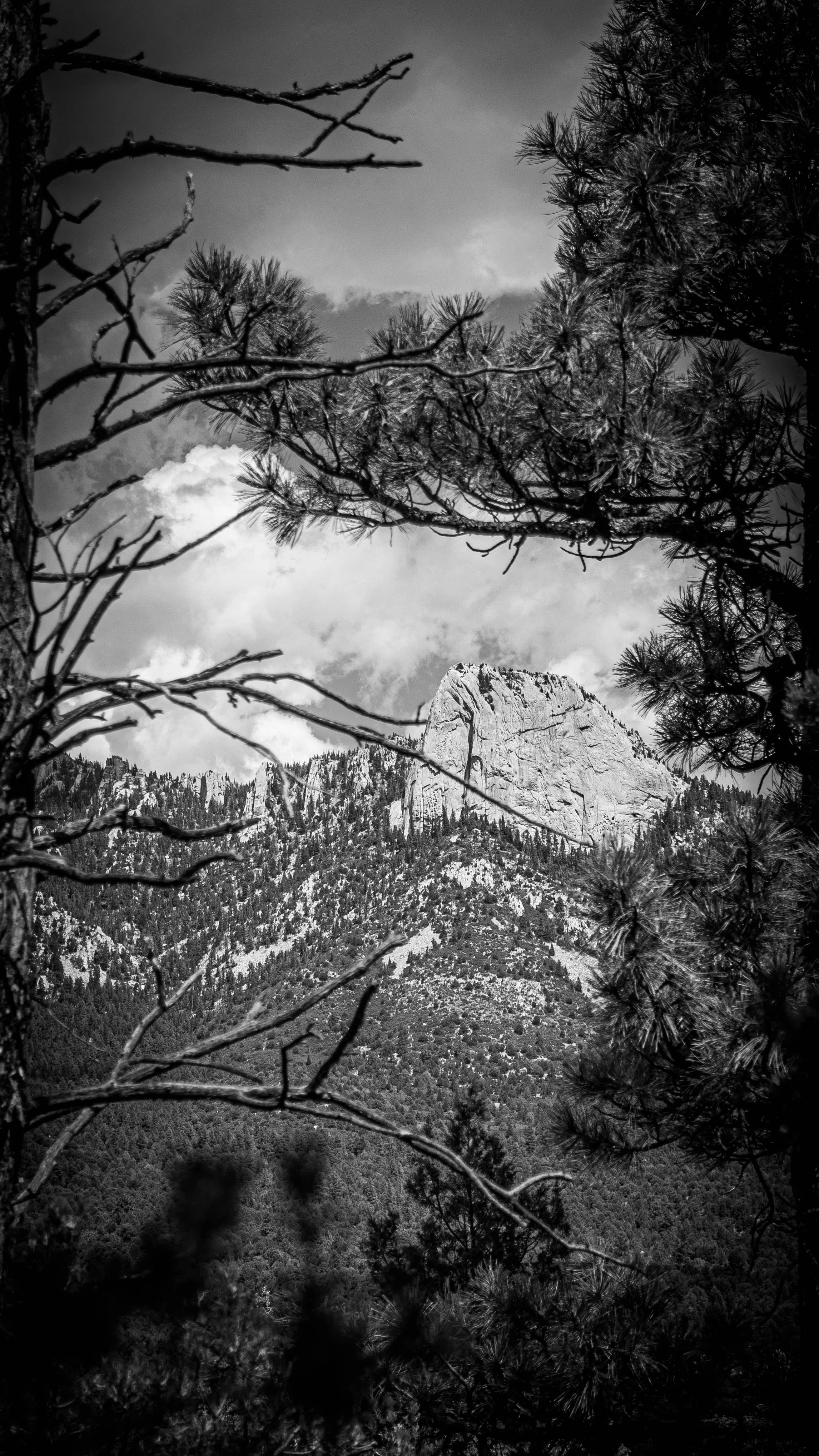 tooth of time (2).jpg