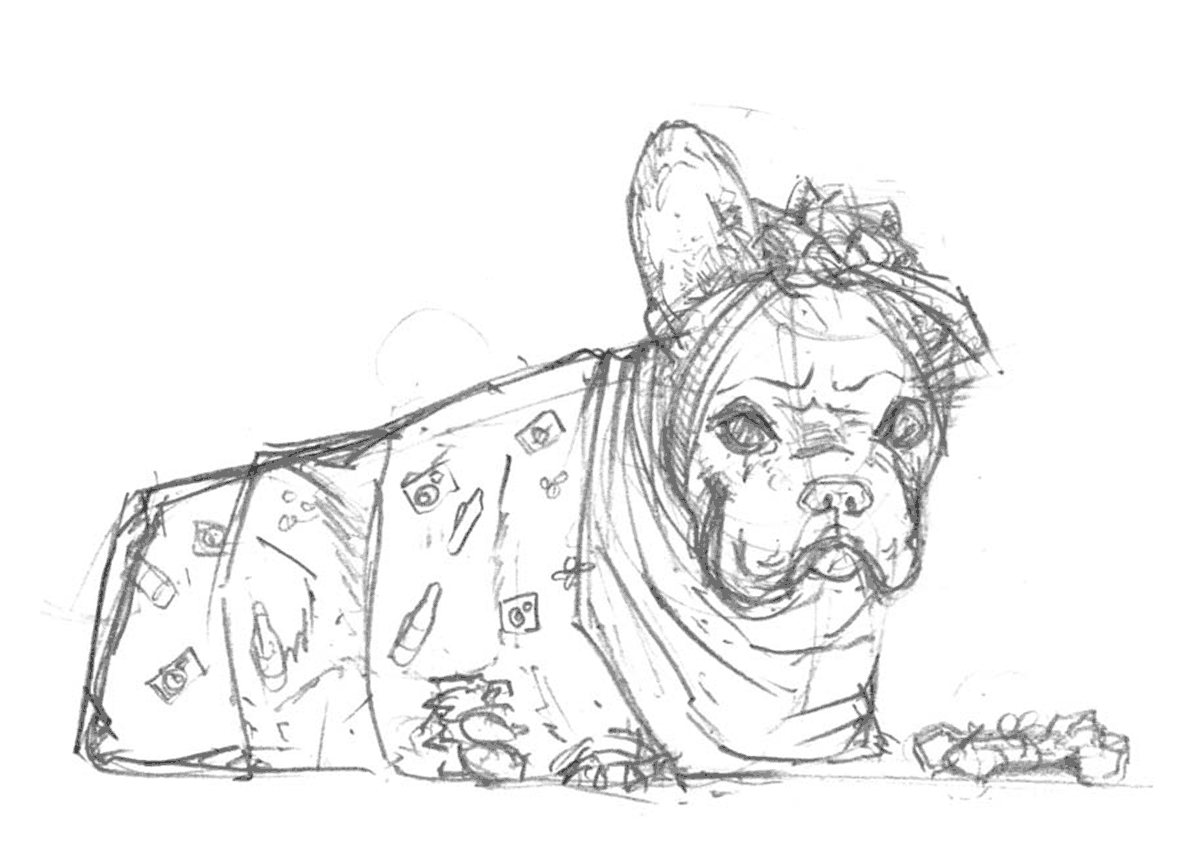 bulldog-wrapped-fin-comp.gif