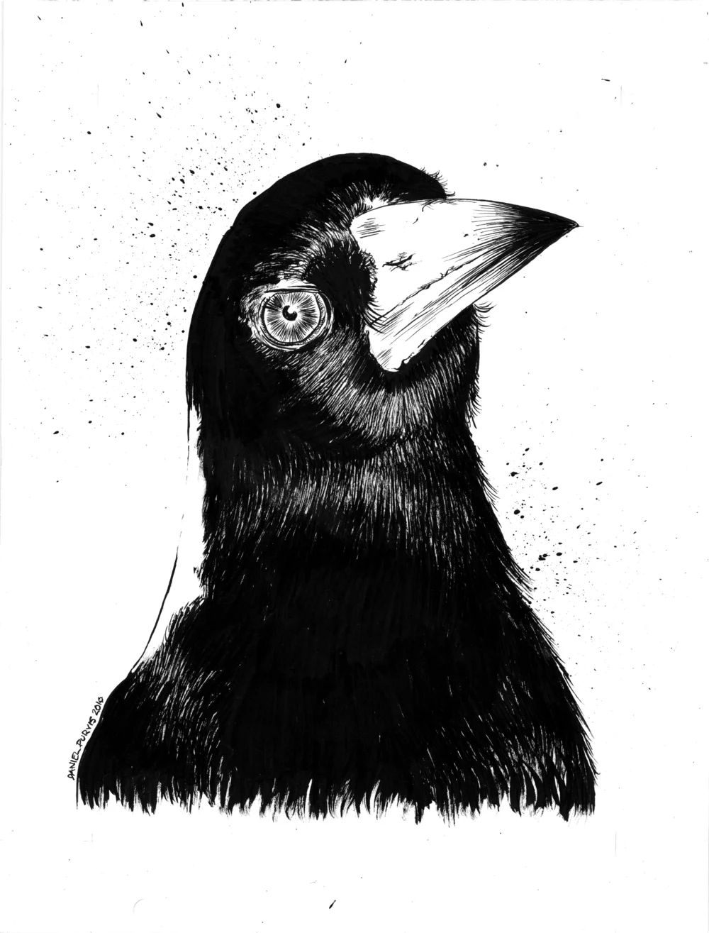 Art: The Bushfire—the story of The Magpie and the Flames