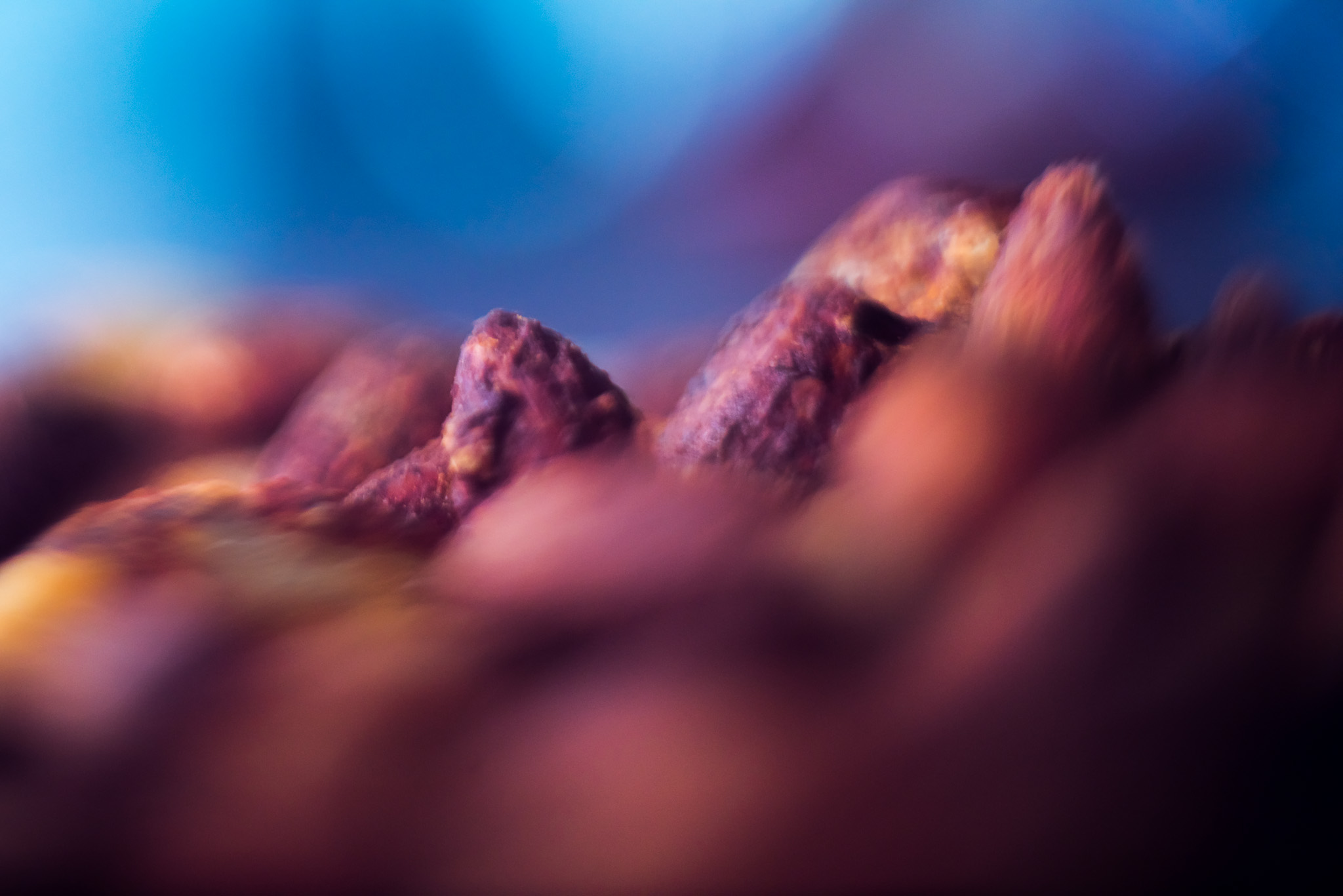 Roast paprika and garlic nuts at Naked For Satan. Melbourne © Daniel Purvis