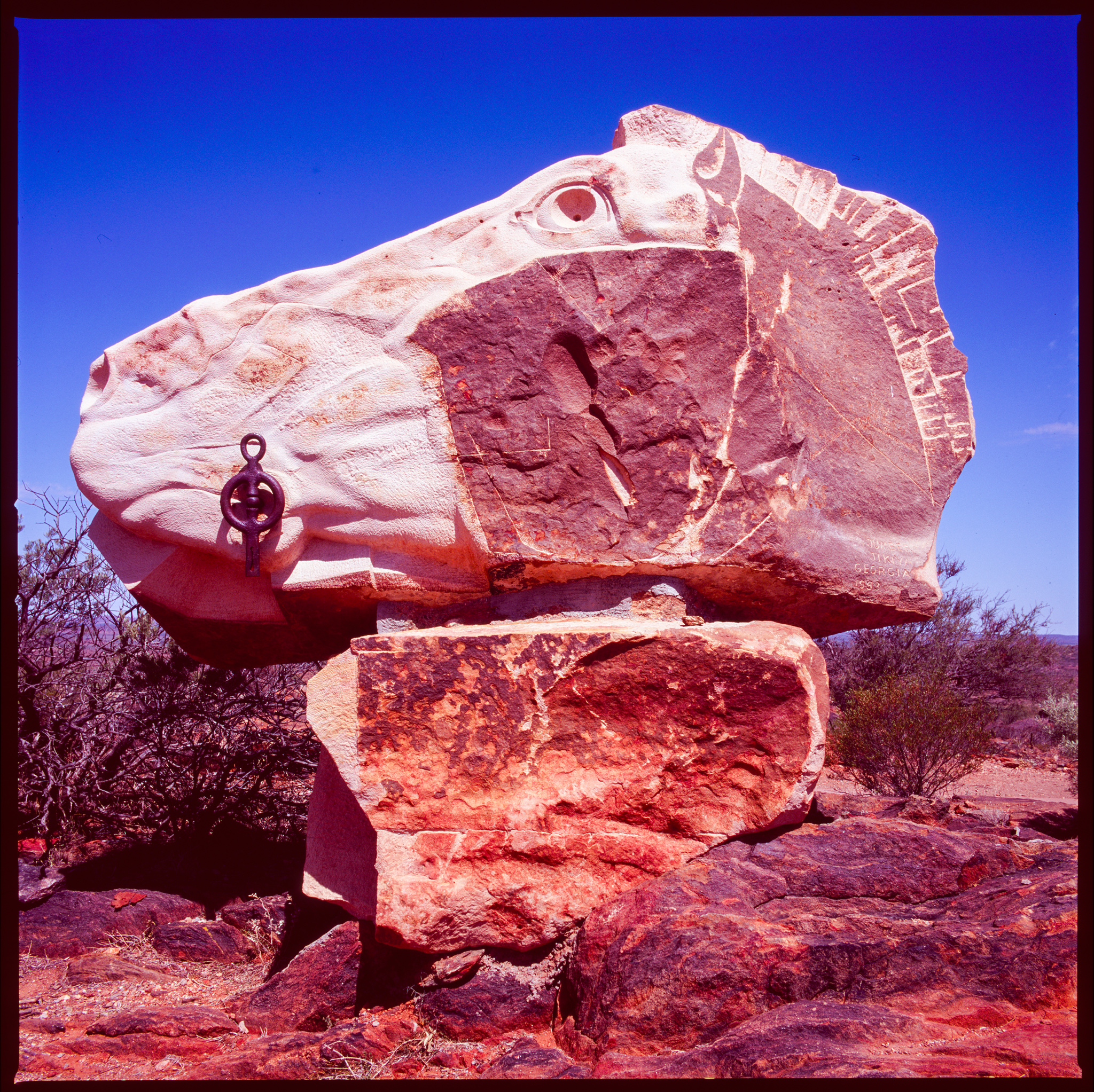 032-Velvia100-100-011.jpg