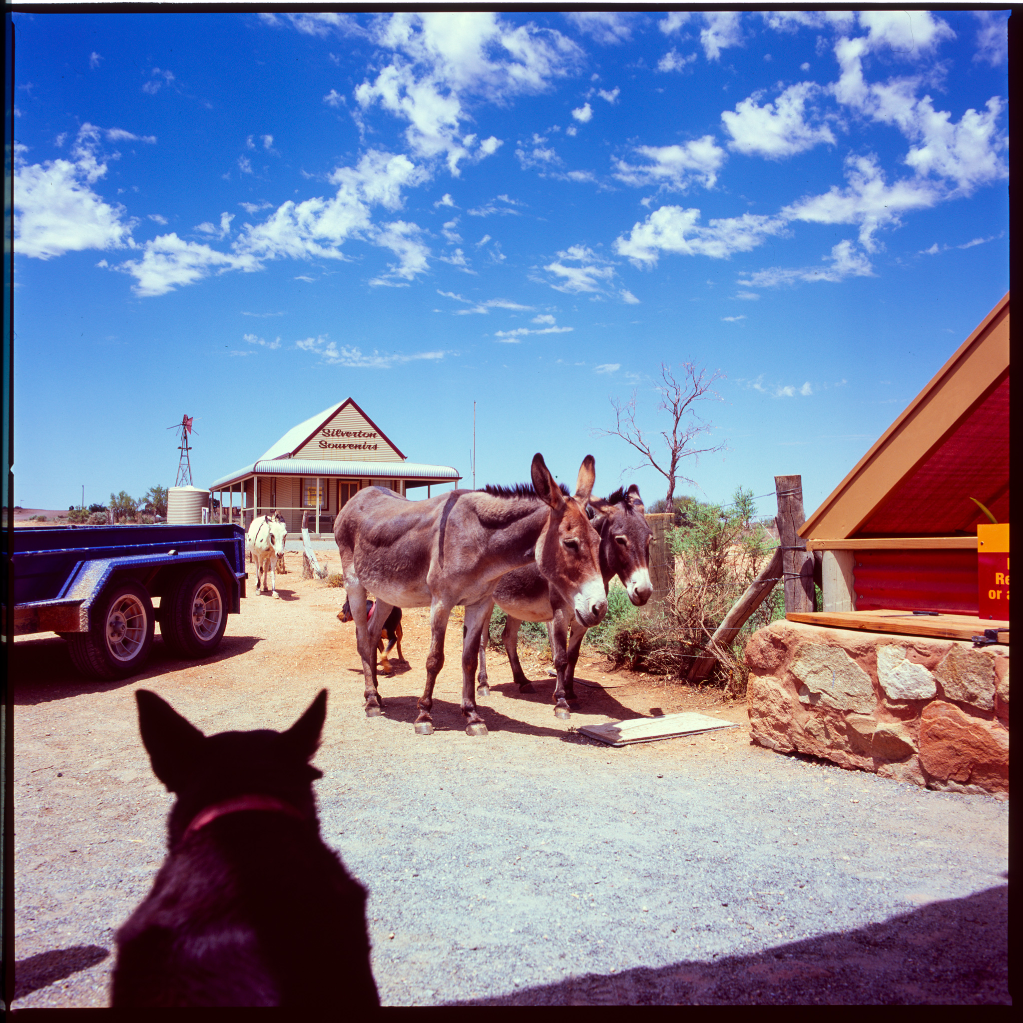 034-Velvia100-100-004.jpg