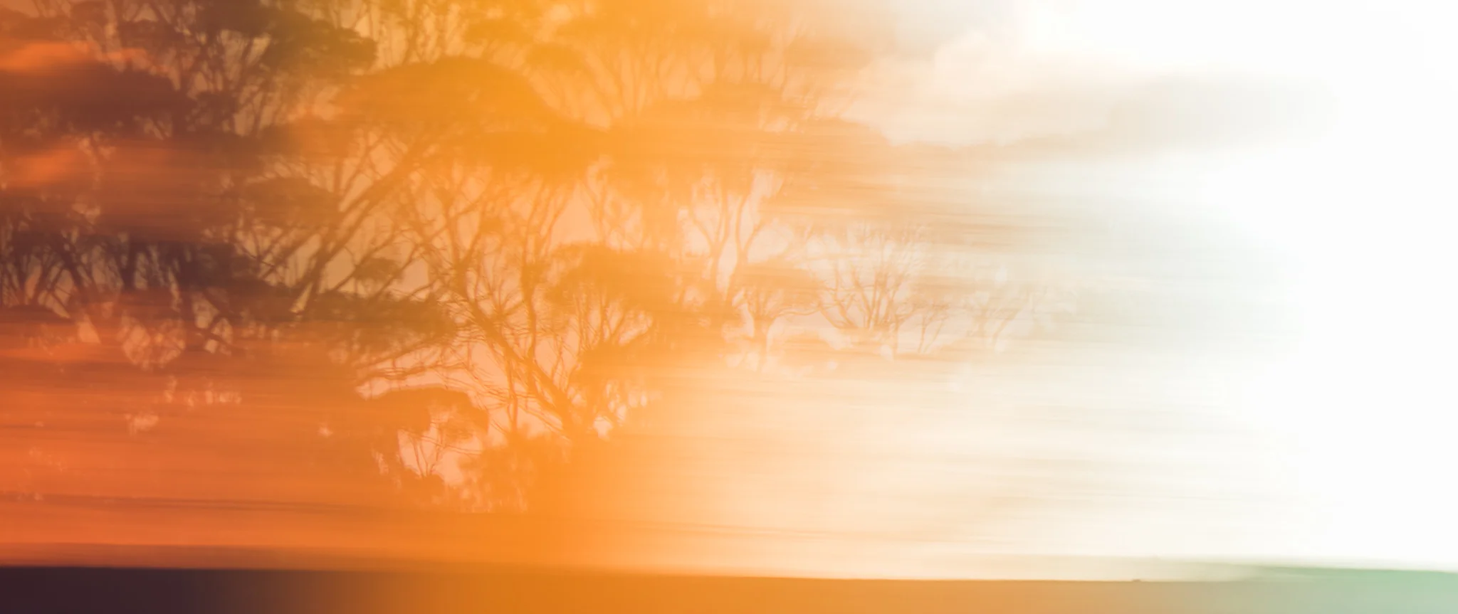 Landscape - Daniel Purvis - DSC_8805.jpg