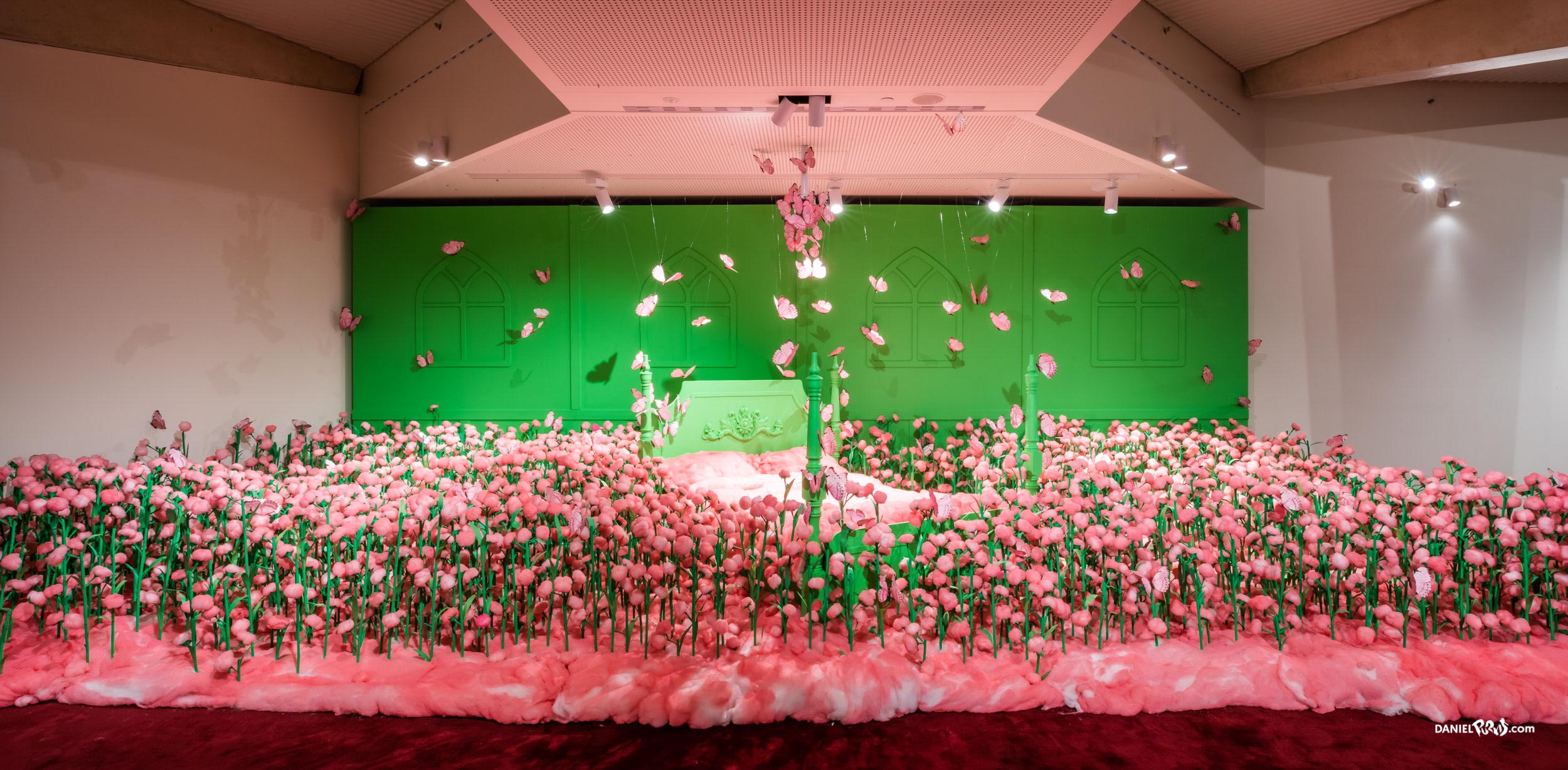 201812 OzAsia Exhibition - Jeeyoung Lee - Daniel Purivs_DSC2583-HDR-Pano.jpg