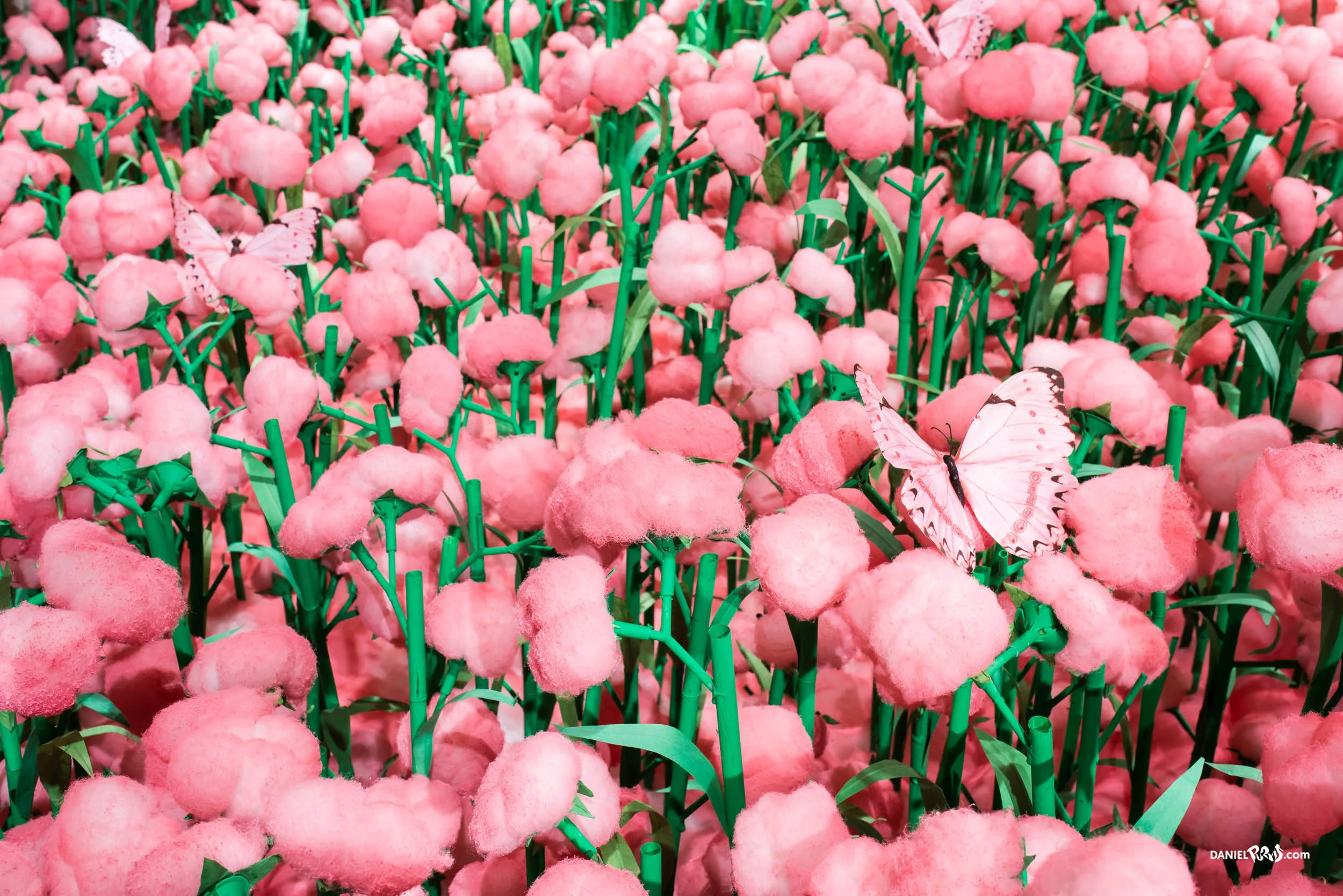 201812 OzAsia Exhibition - Jeeyoung Lee - Daniel Purivs_DSC2851-HDR.jpg