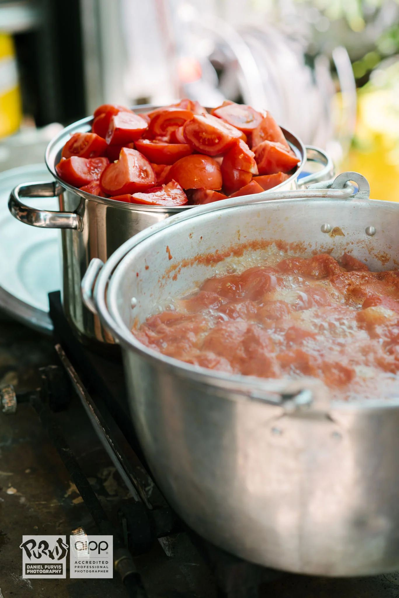 2019 Tomato Day - Daniel Purvis_DSC5042.jpg