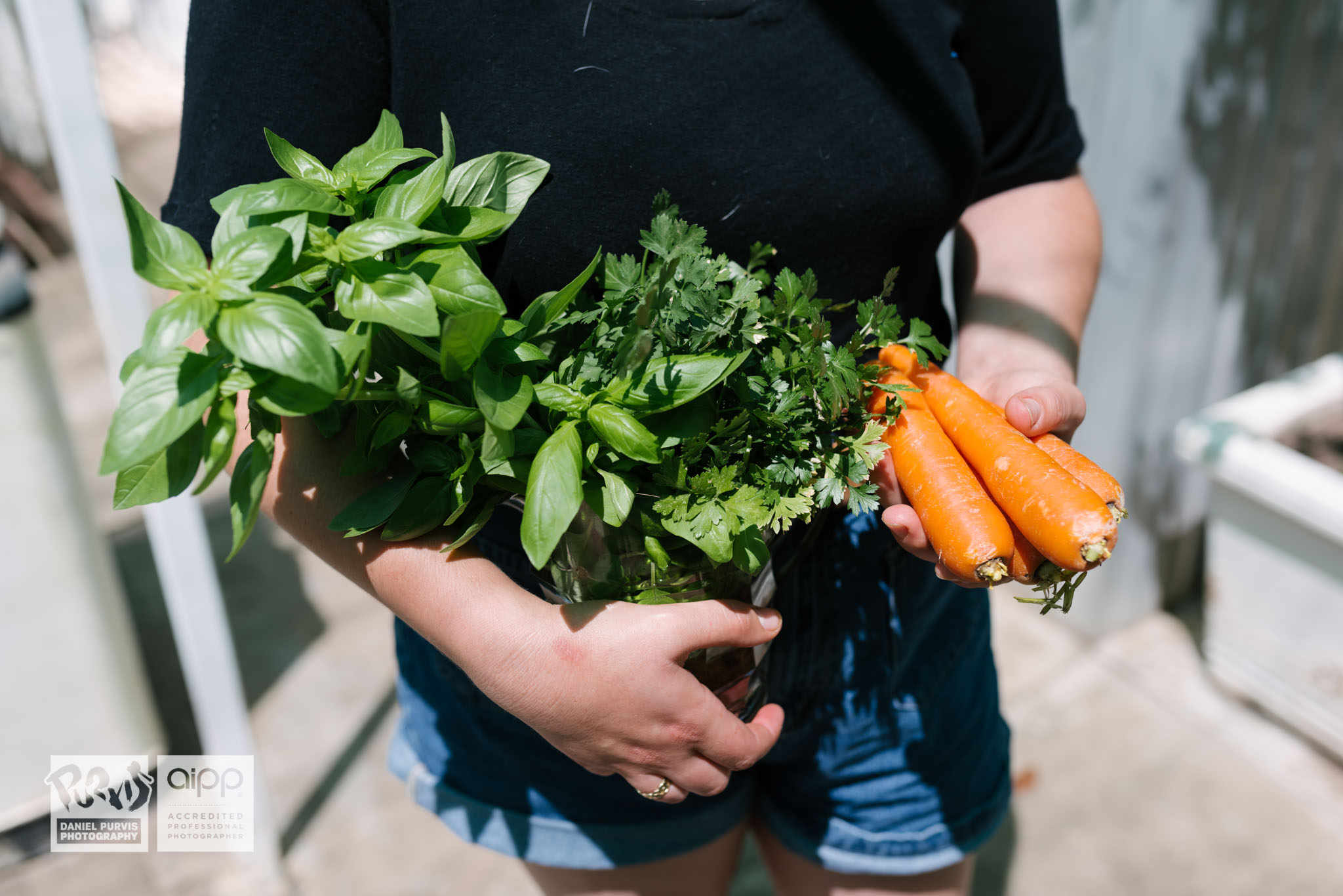 2019 Tomato Day - Daniel Purvis_DSC5124.jpg