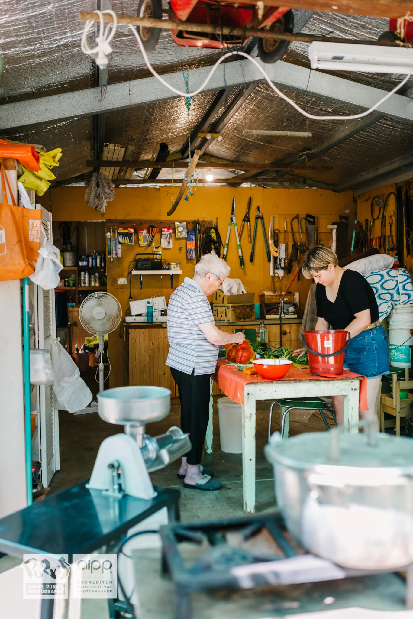 2019 Tomato Day - Daniel Purvis_DSC5166.jpg