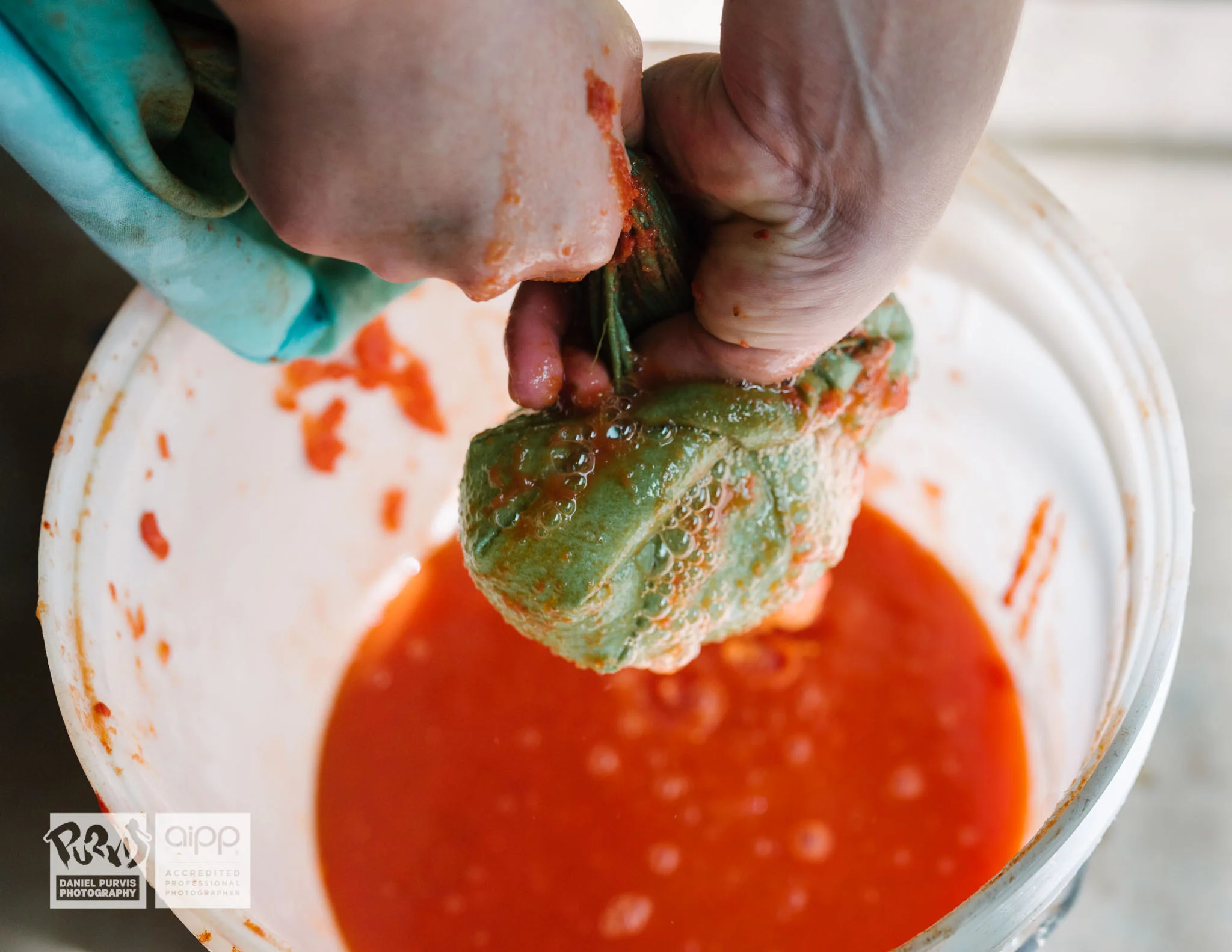 2019 Tomato Day - Daniel Purvis_DSC5735.jpg