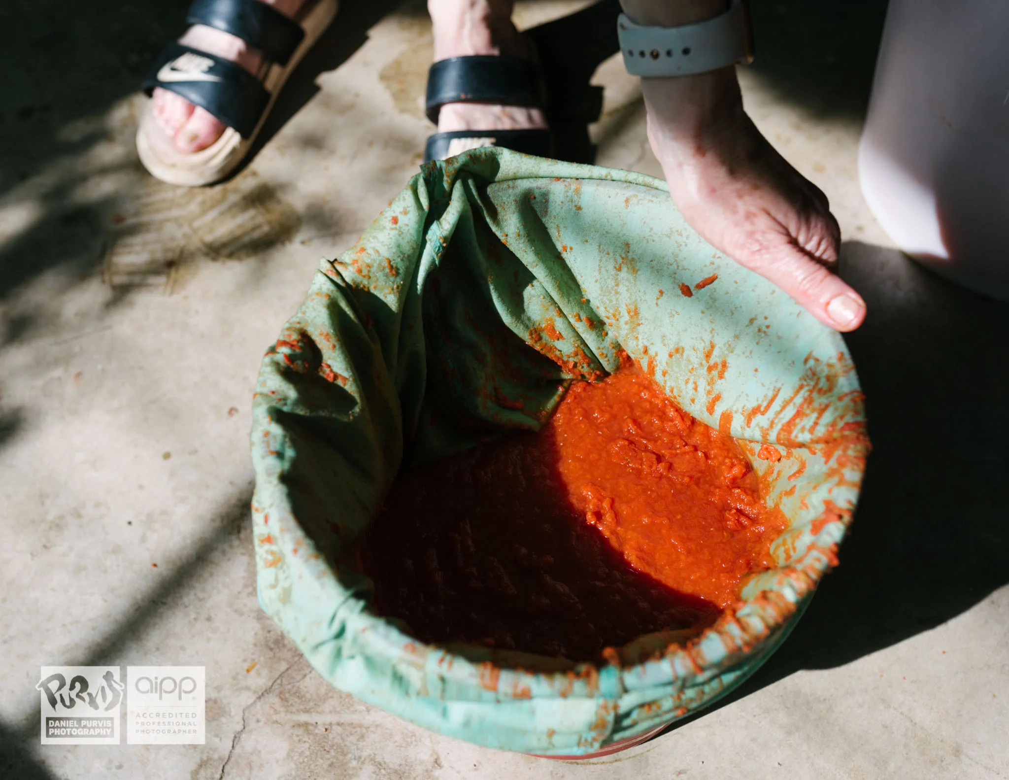 2019 Tomato Day - Daniel Purvis_DSC5667.jpg