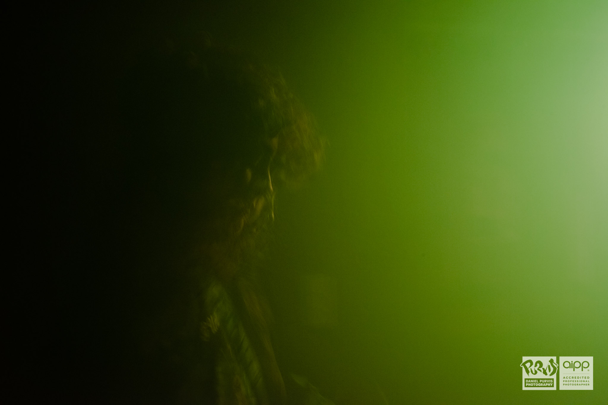 2019 Chimera - Daniel Purvis_DSC5392.jpg