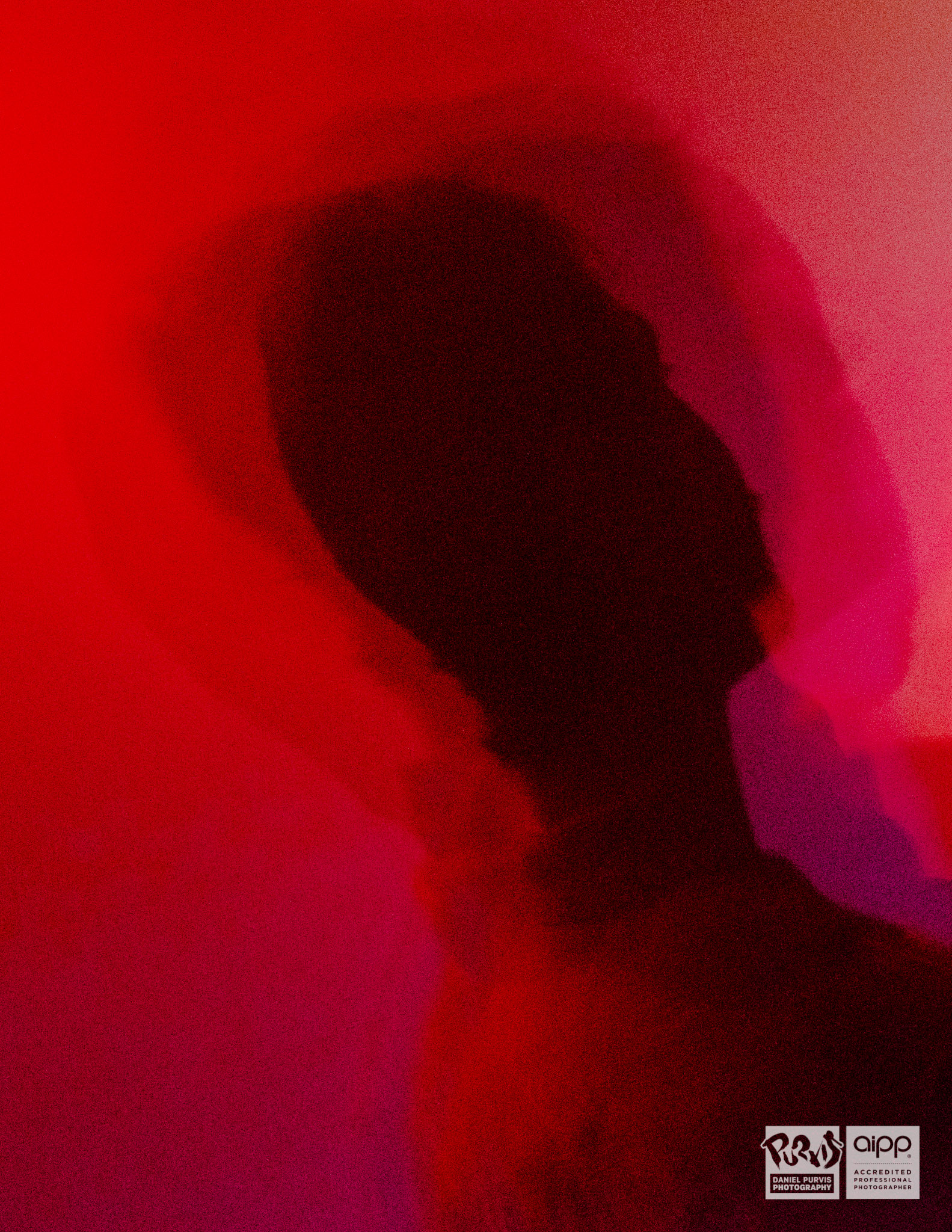 2019 Chimera - Daniel Purvis_DSC5355.jpg