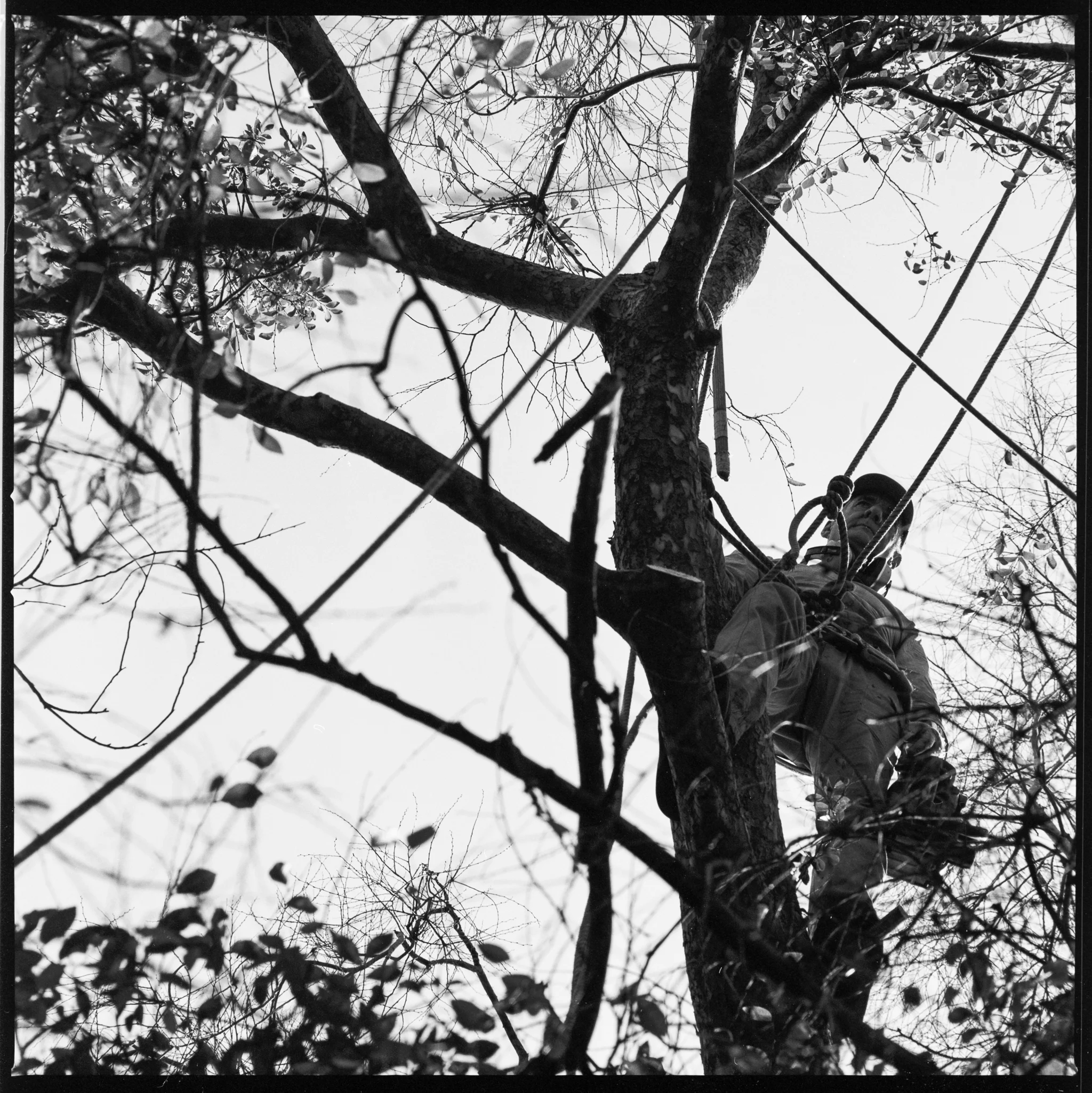 098-IlfordFP4-100-500CM-TreeTrimming-004.jpg