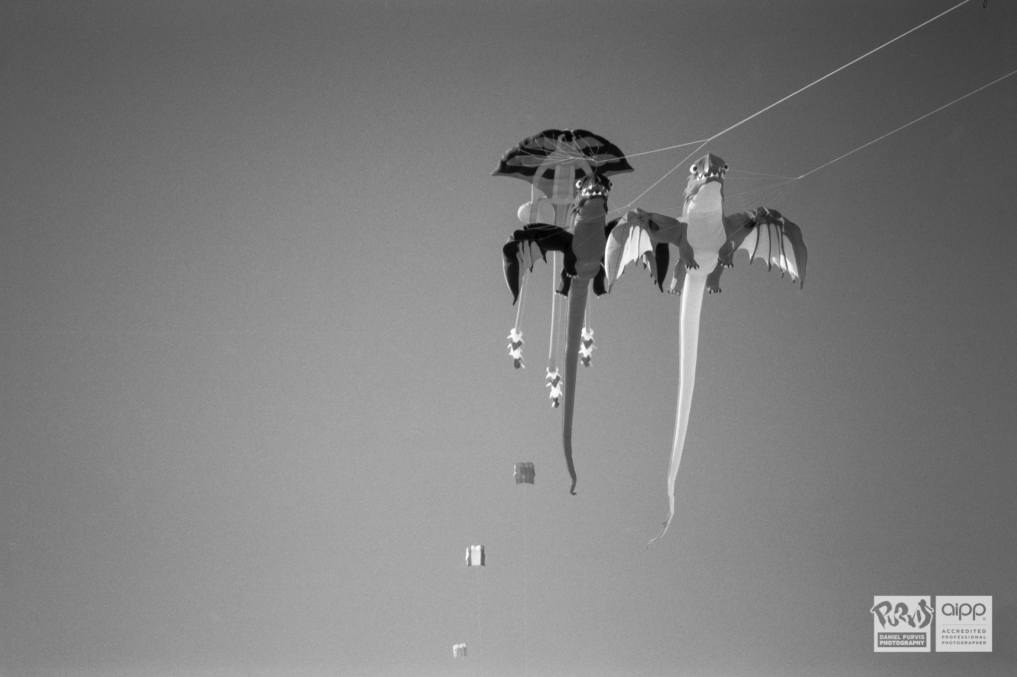 Adelaide International Kite Festival at Semaphore Beach, 2017