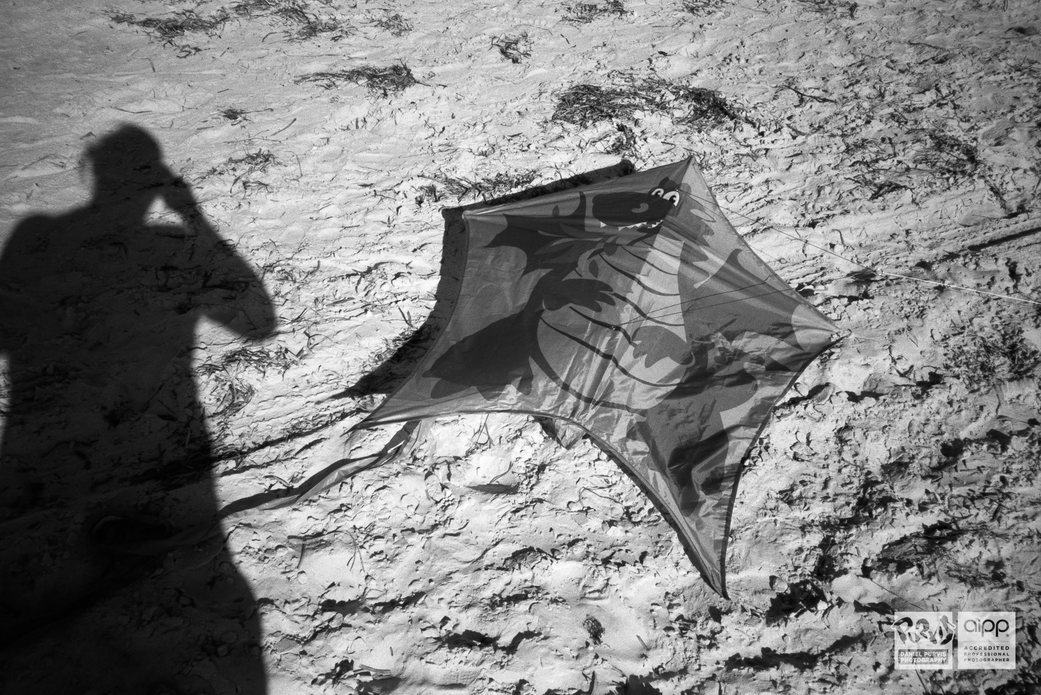 Adelaide International Kite Festival at Semaphore Beach, 2017