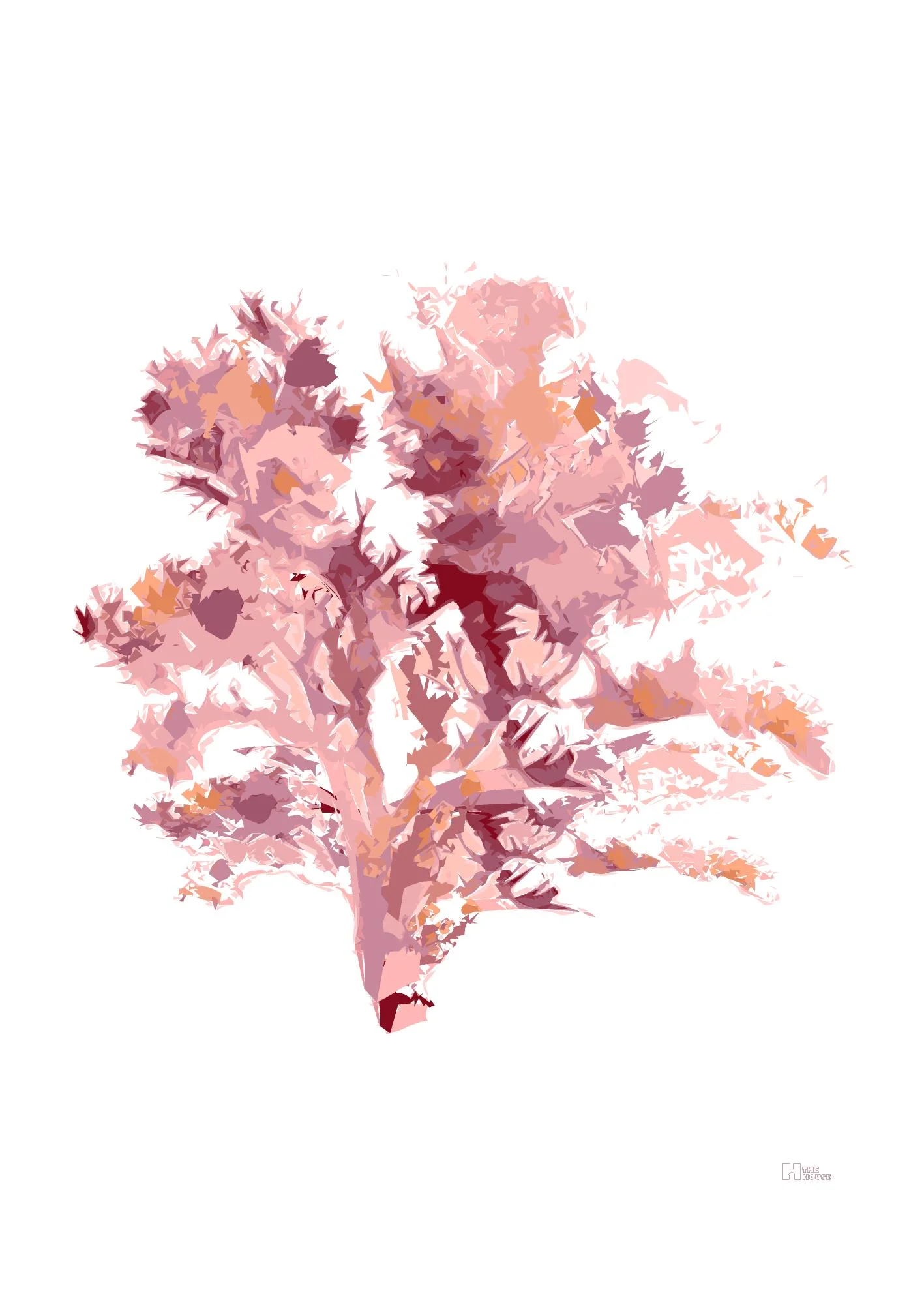 CORAL ROSA.jpg