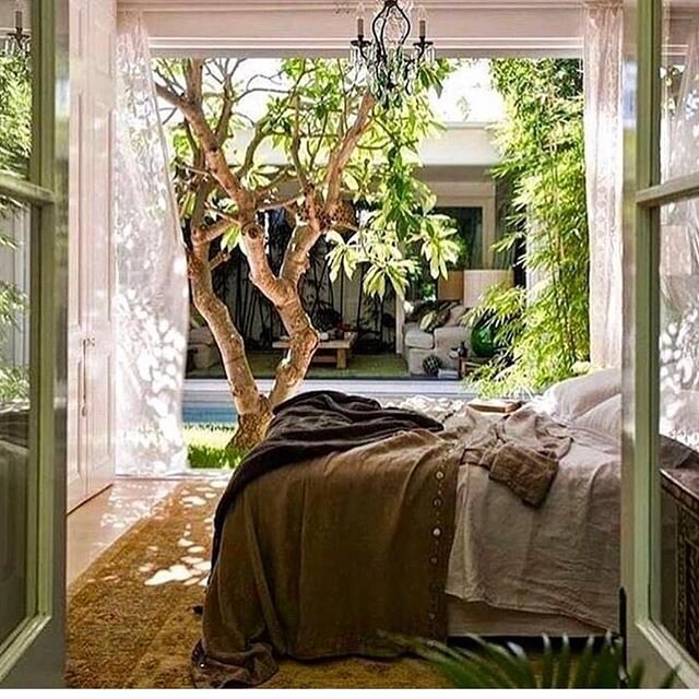 Weekend mood
Pic credit @augusmoey
#greenlife #findesemana #slowlife #avecesveocasas #relax #deco