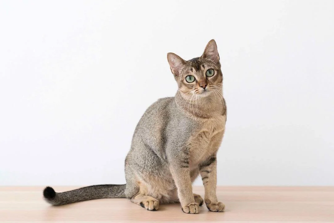 One last photo before she goes to her new home 🤡