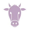 static.squarespace-5.png