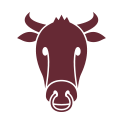 static.squarespace-4.png