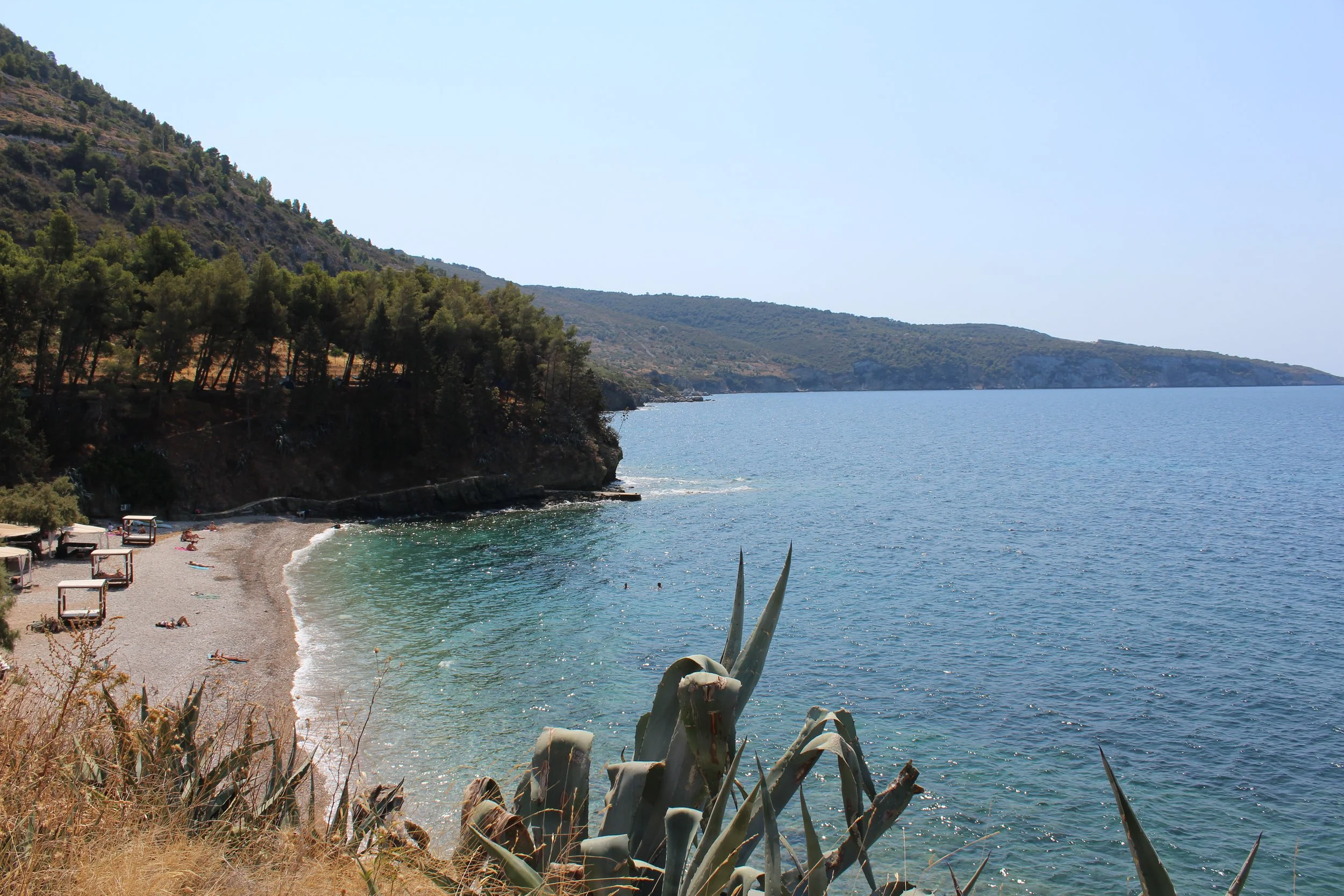 What makes ECSWP special?