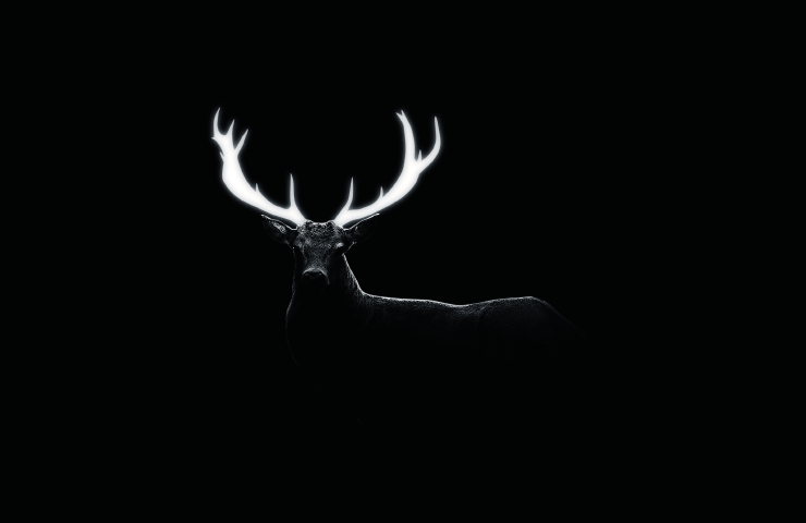Untitled Stag.png