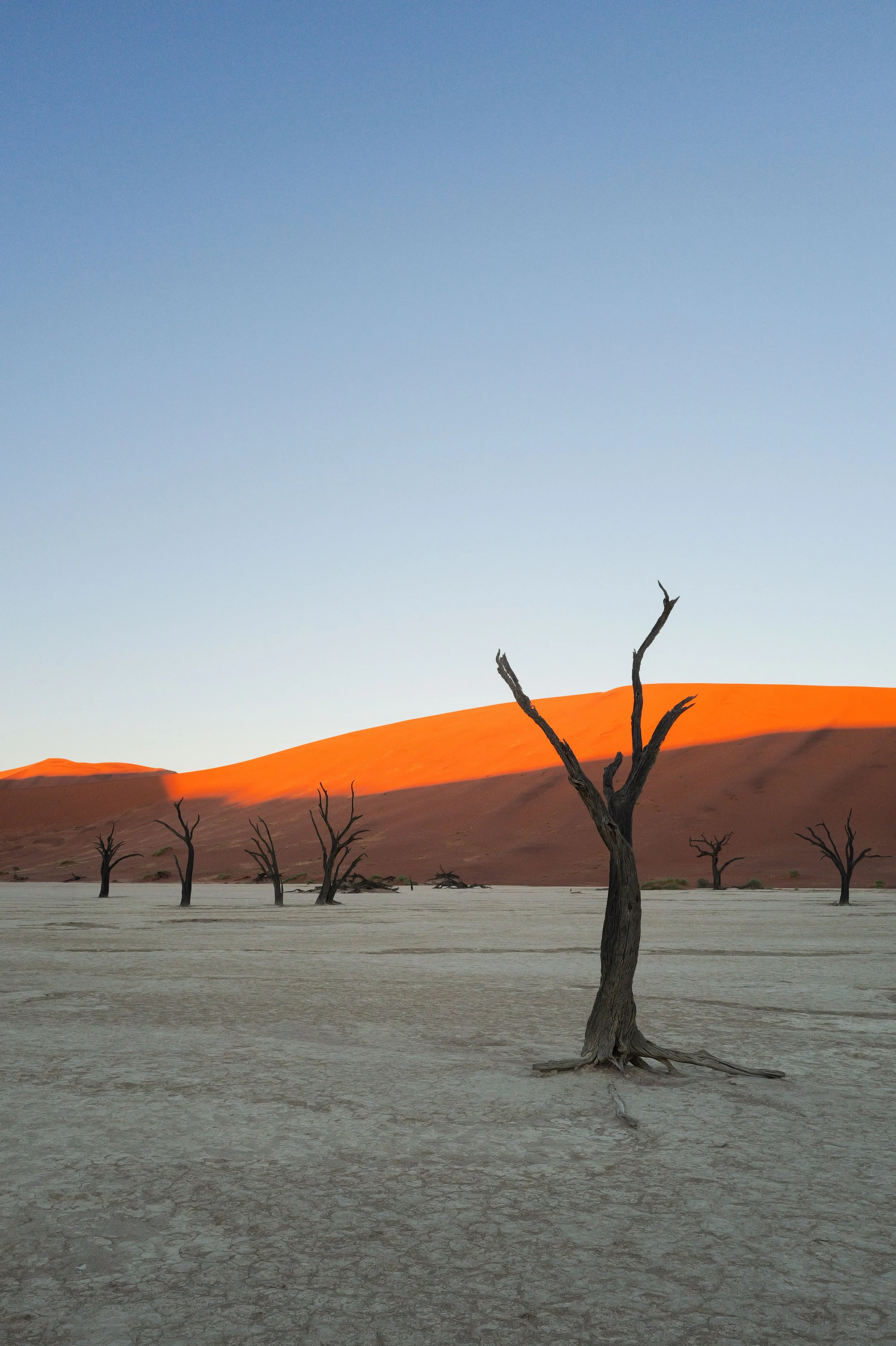 Namibia-23.jpg