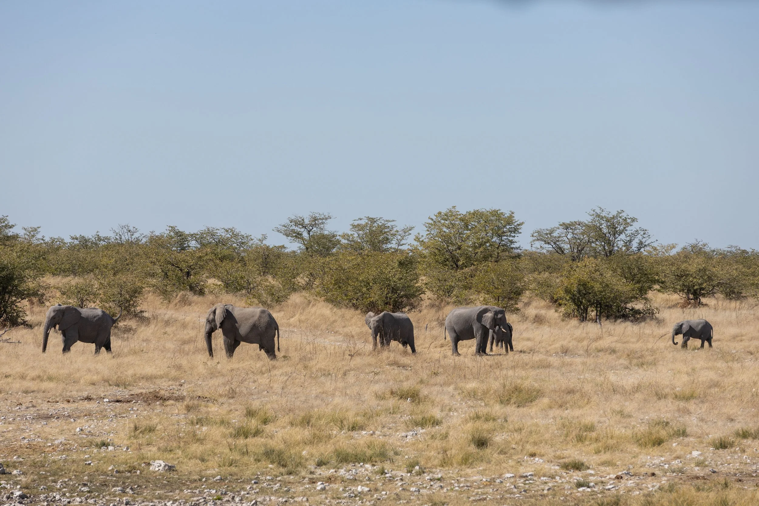 Namibia-38.jpg