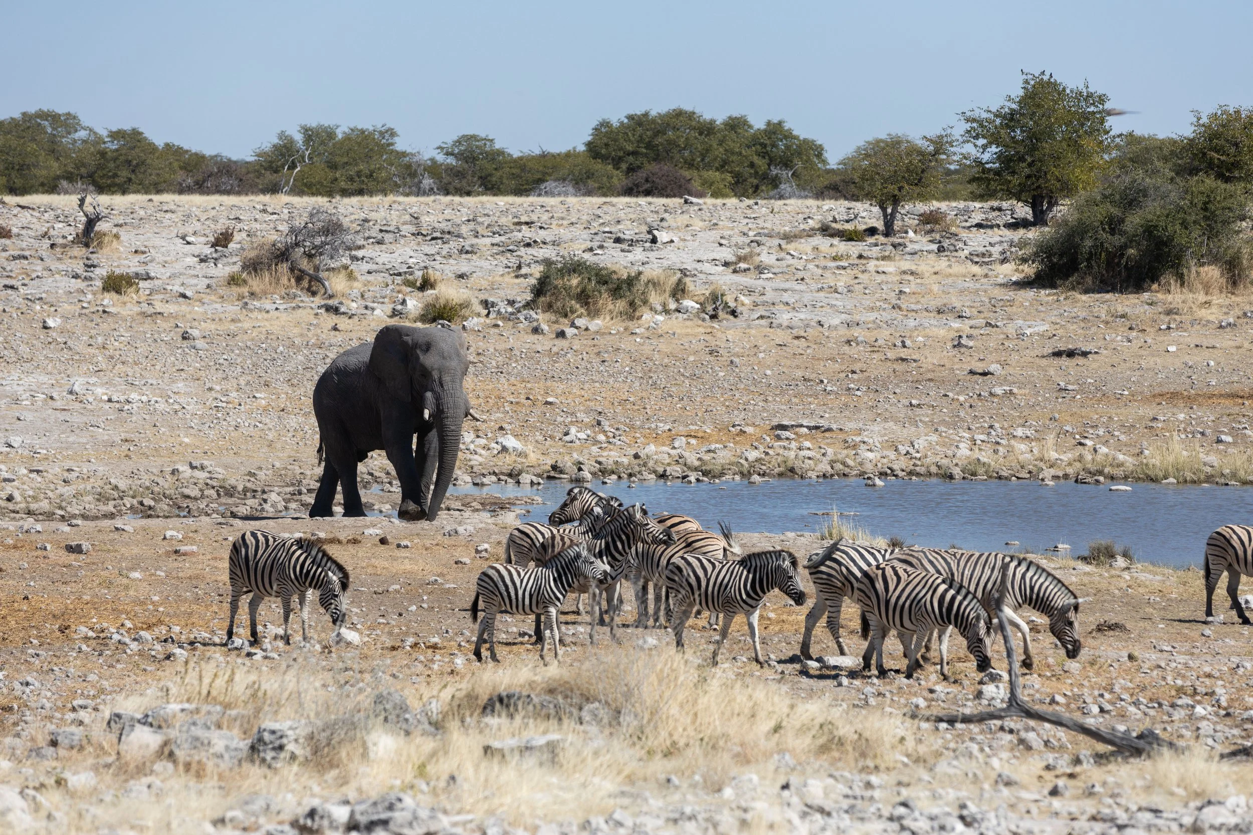 Namibia-41.jpg