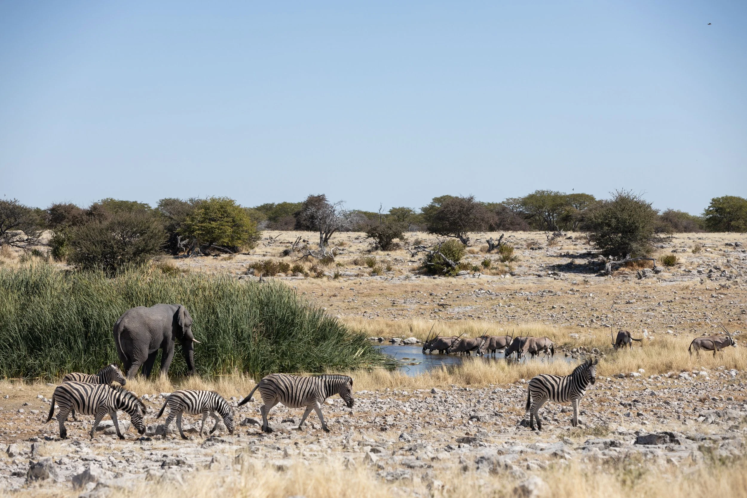 Namibia-42.jpg