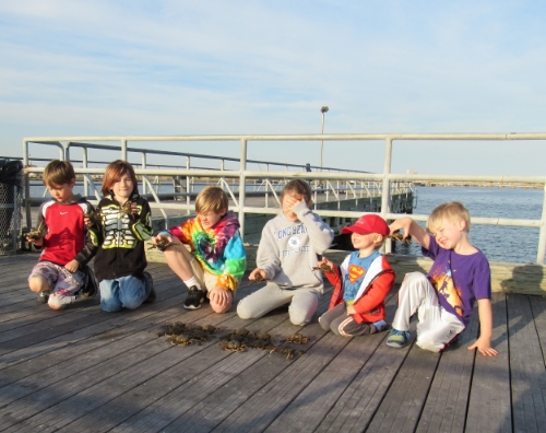 Ted, Jack, and Charlie with friends and nineteen spider crabs