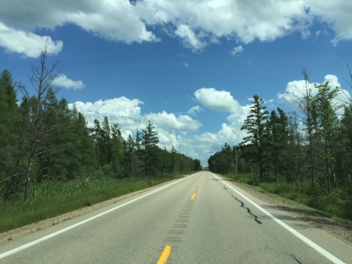 Michigan!