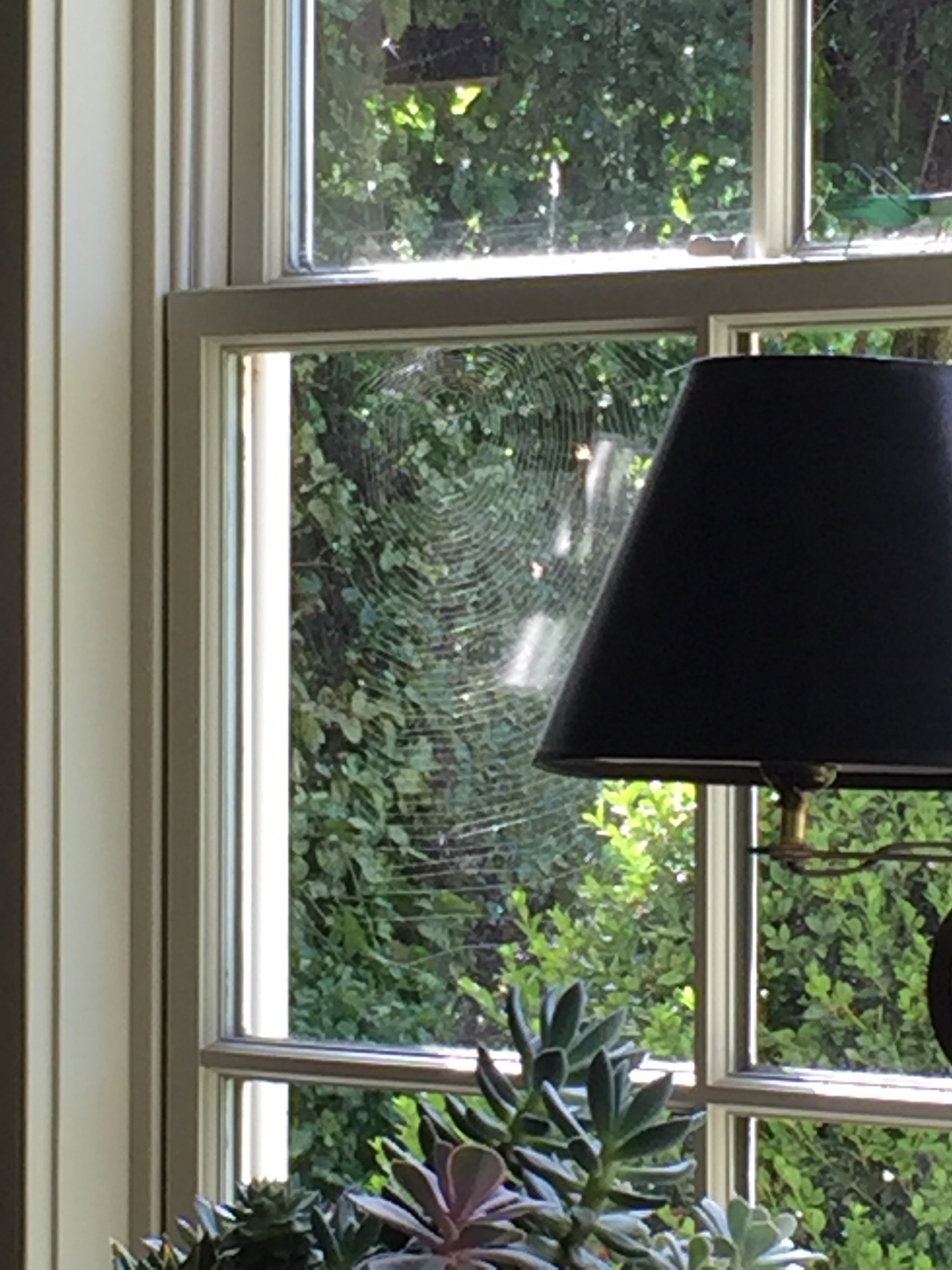 And the spiders were OUTside...