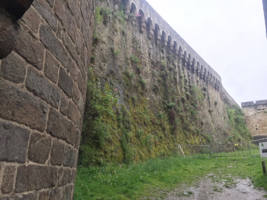 The Wall