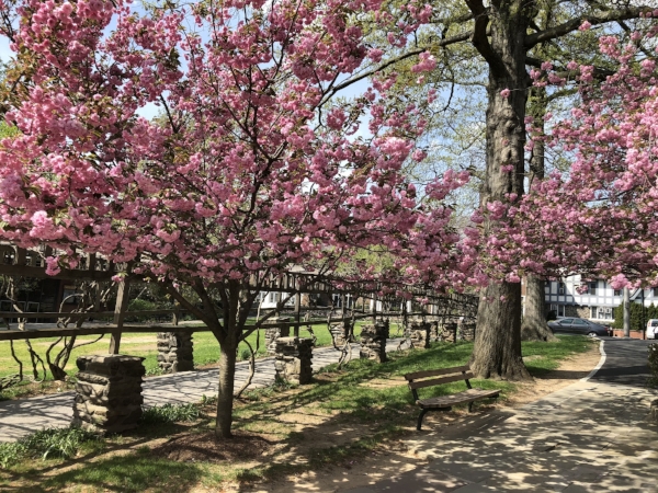Gorgeous place to be in the spring!