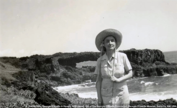 Here is a photograph of the artist in front of the arch.
