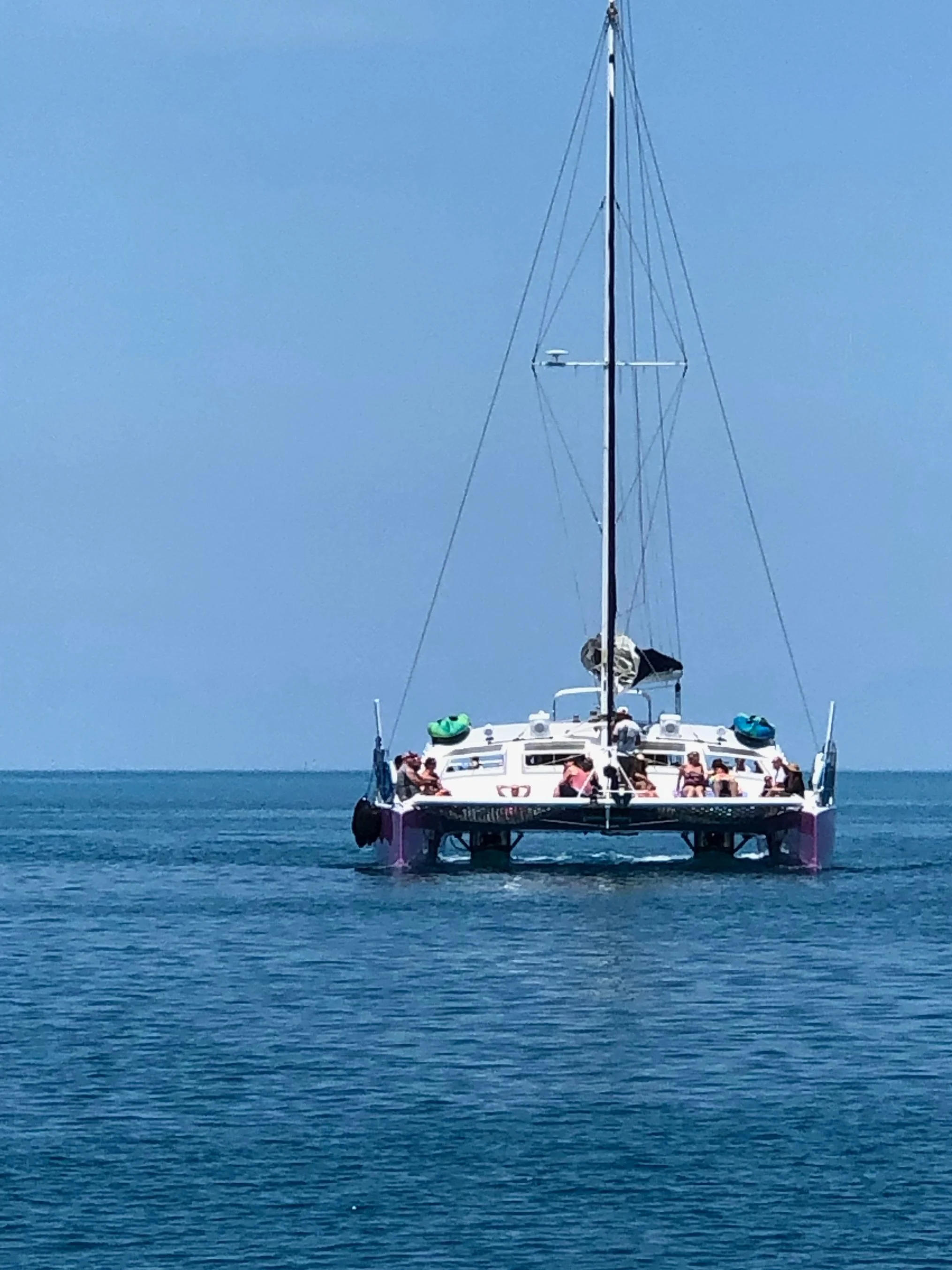 V and i went out reef snorkeling on a catamaran like this one, called AristoCat. High point of the trip for me!