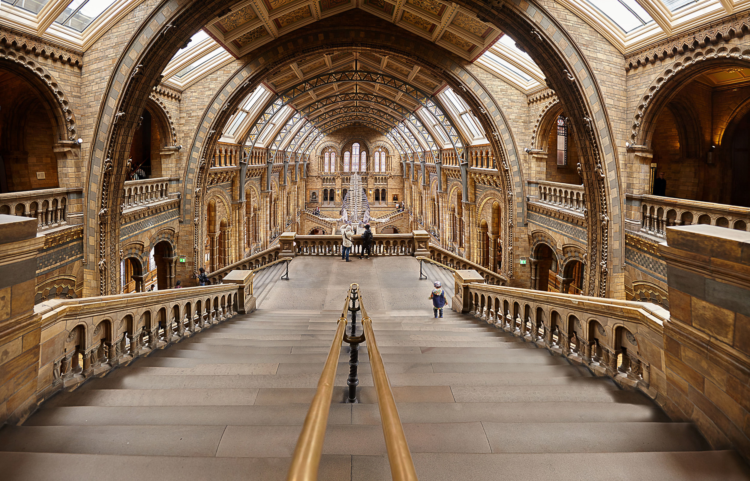  Musée d'histoire Naturelle de Londres II 