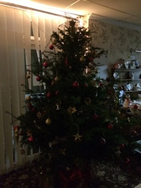 Springfield Lodge Winning Tree