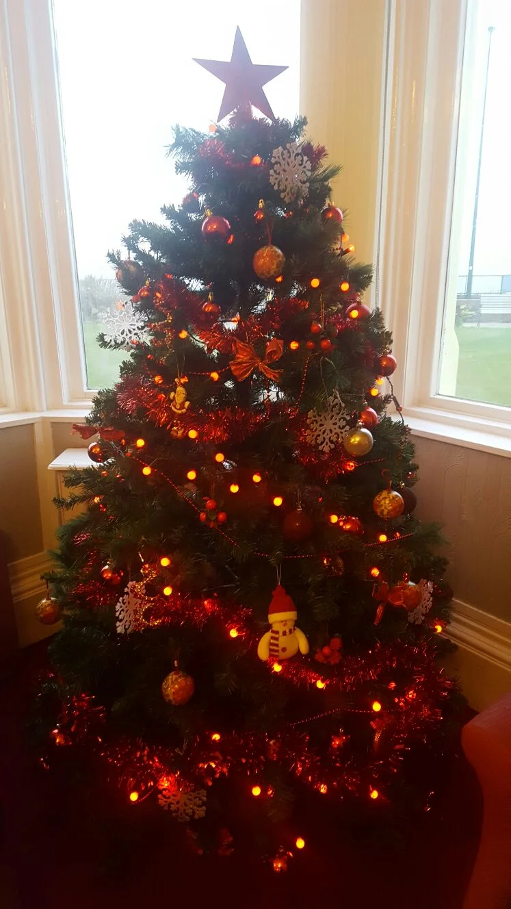tree5.jpg