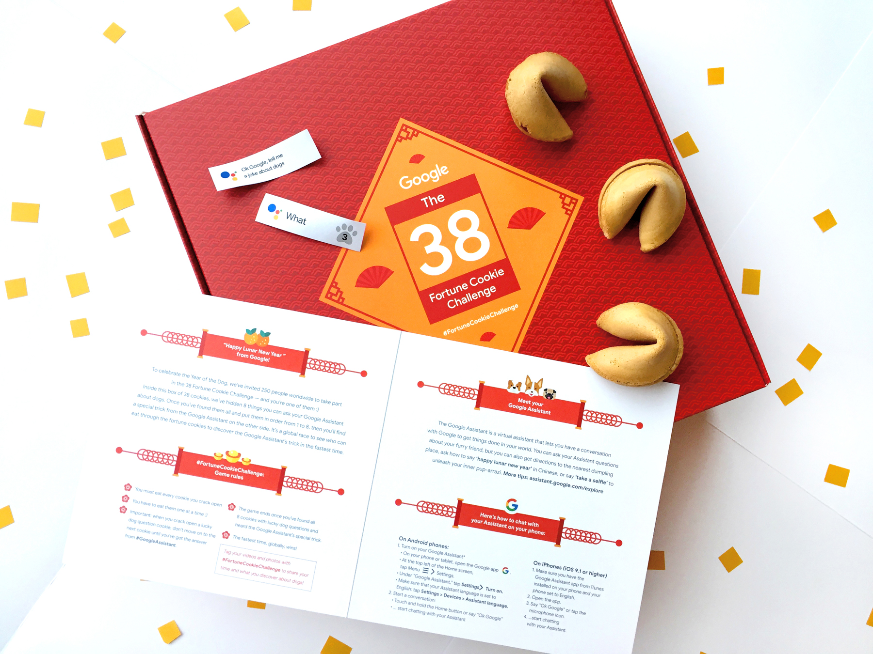 Fortune Cookie Pix A.png