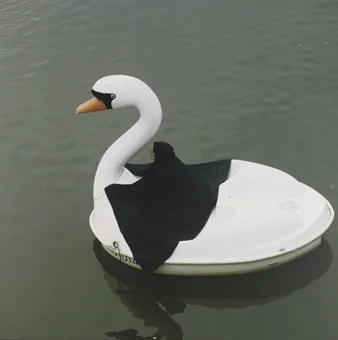 Parastou Forouhar, Swanrider, photo by Christie’s